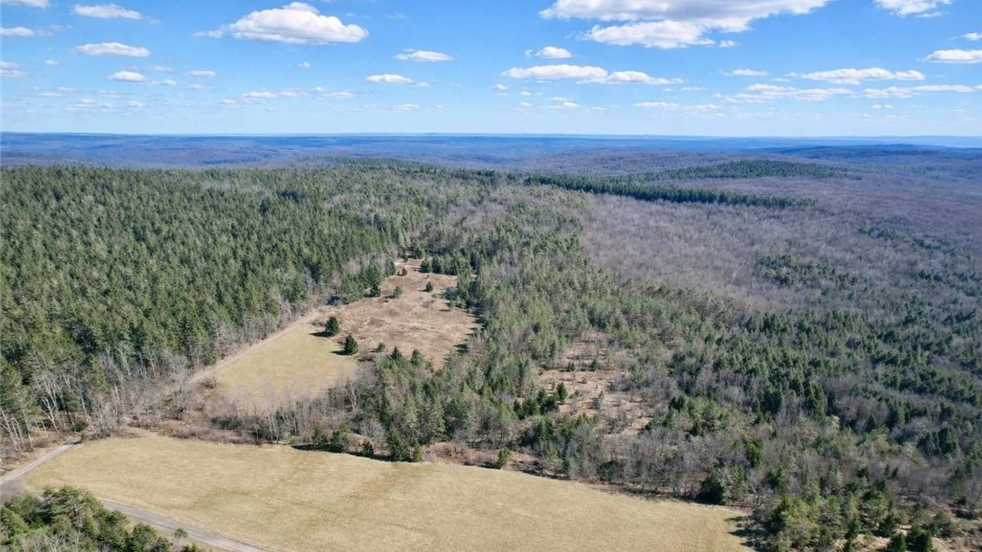 Property at Springer Road, Lincklaen, NY 13052 2