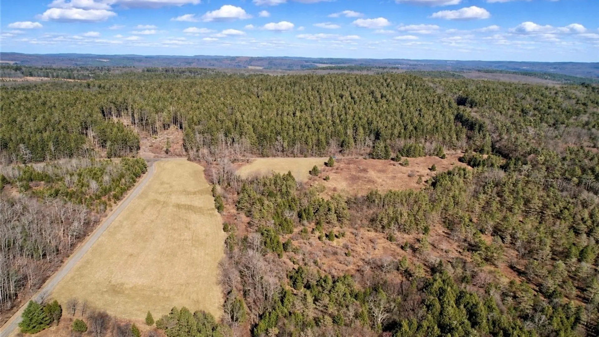 Property at Springer Road, Lincklaen, NY 13052 3