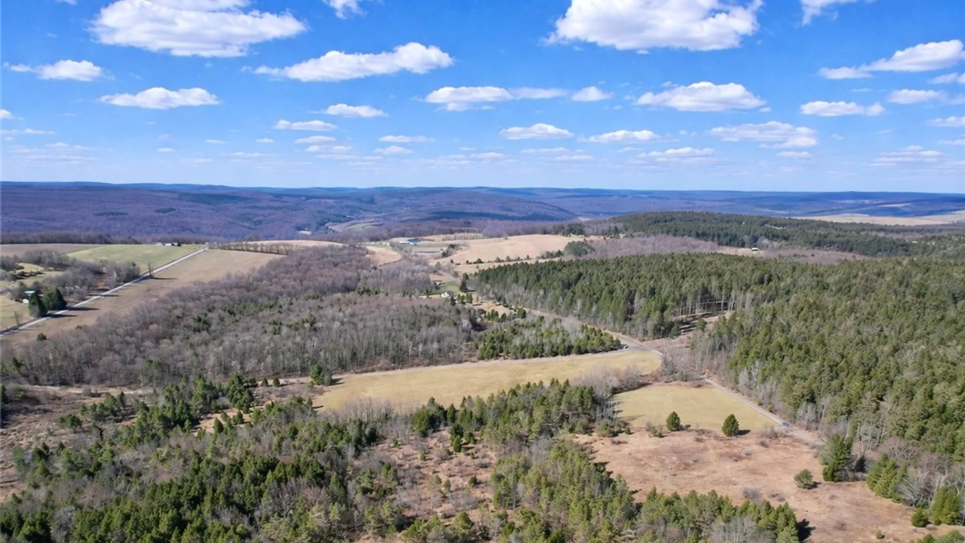 Property at Springer Road, Lincklaen, NY 13052 4