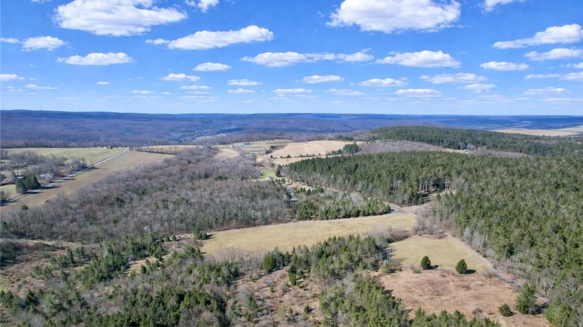 Property at Springer Road, Lincklaen, NY 13052 5