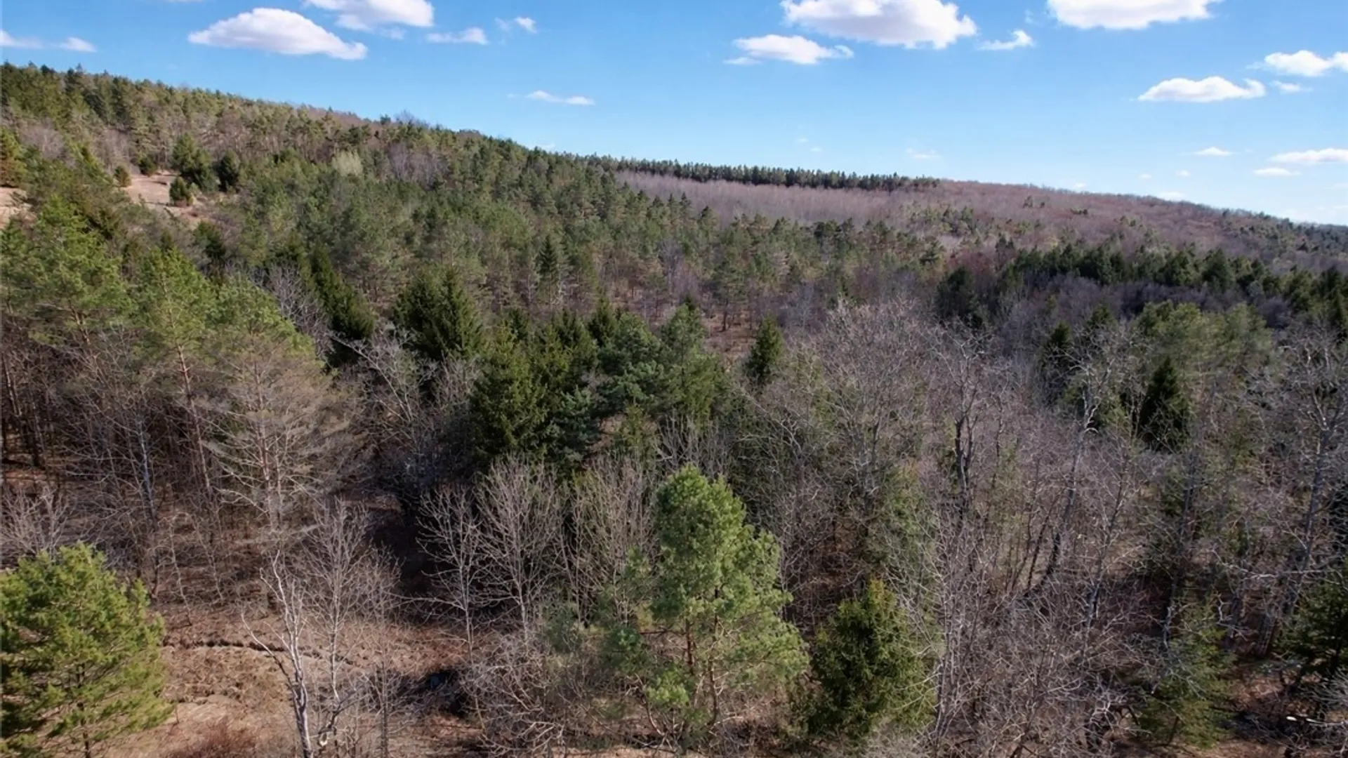 Property at Springer Road, Lincklaen, NY 13052 6