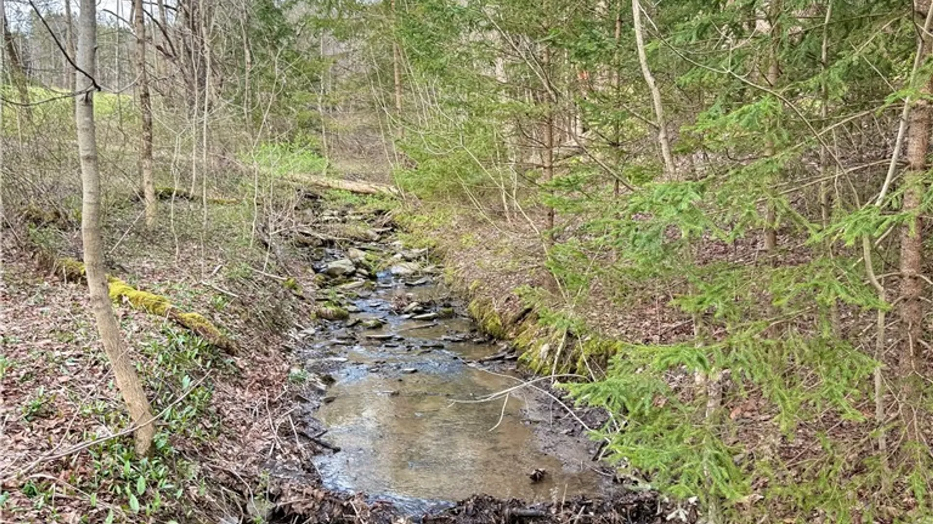 Property at Springer Road, Lincklaen, NY 13052 8