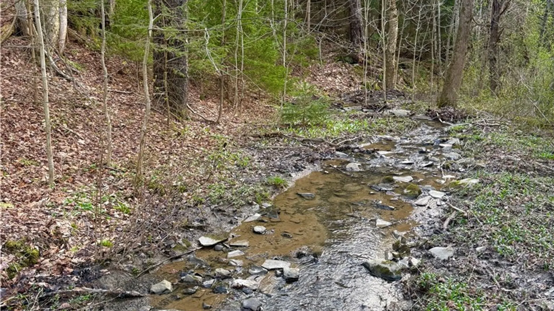 Property at Springer Road, Lincklaen, NY 13052 9