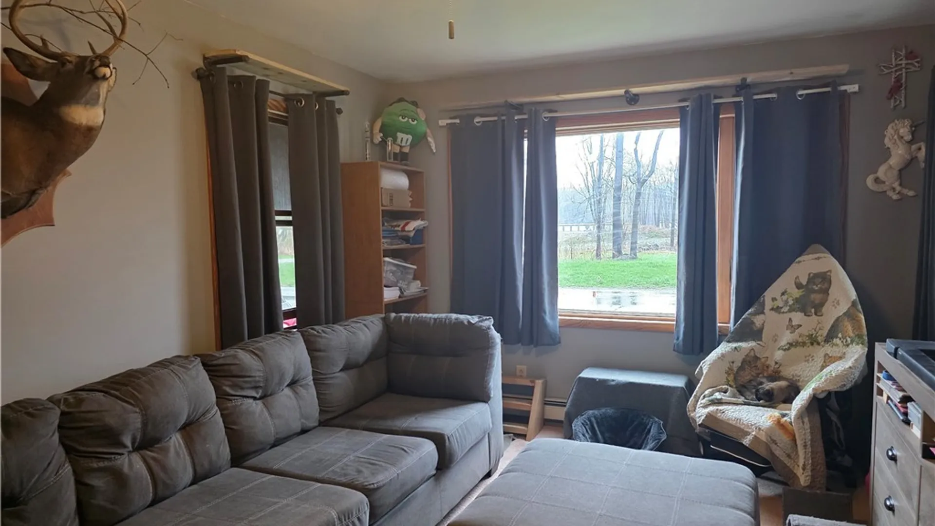 Property at 4202 Shelby Basin Road, Shelby, NY 14103 6