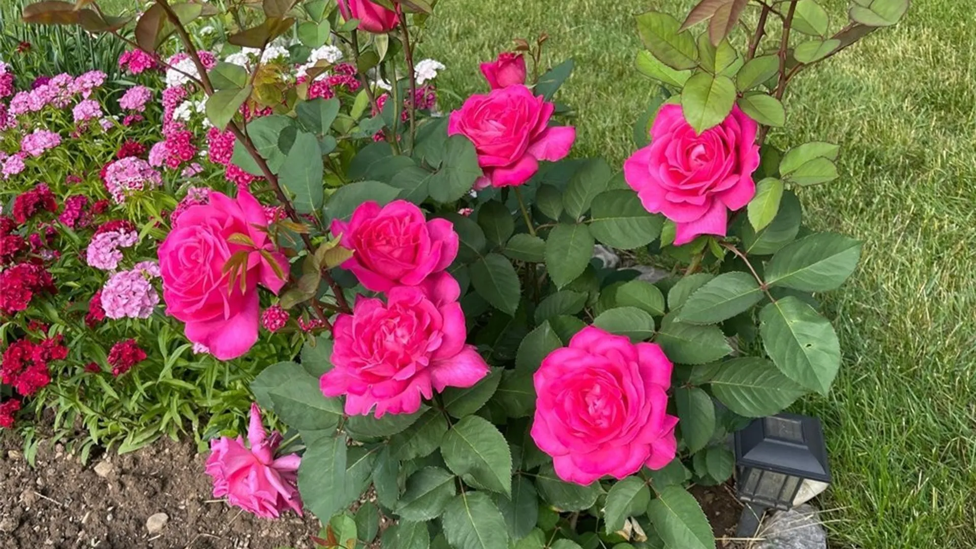 Property at 114 Memorial Parkway, Utica, NY 13501 35