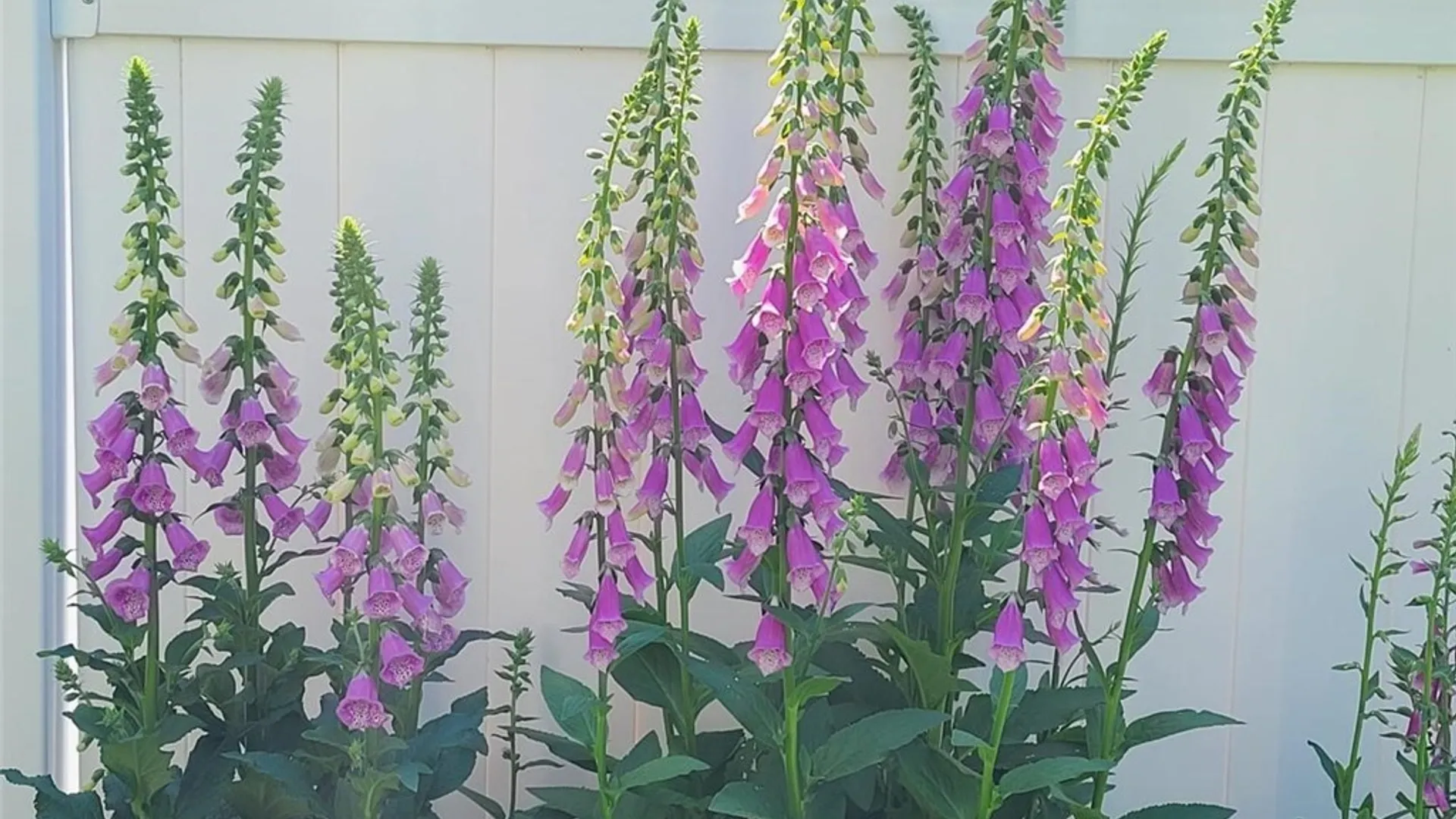 Property at 114 Memorial Parkway, Utica, NY 13501 36