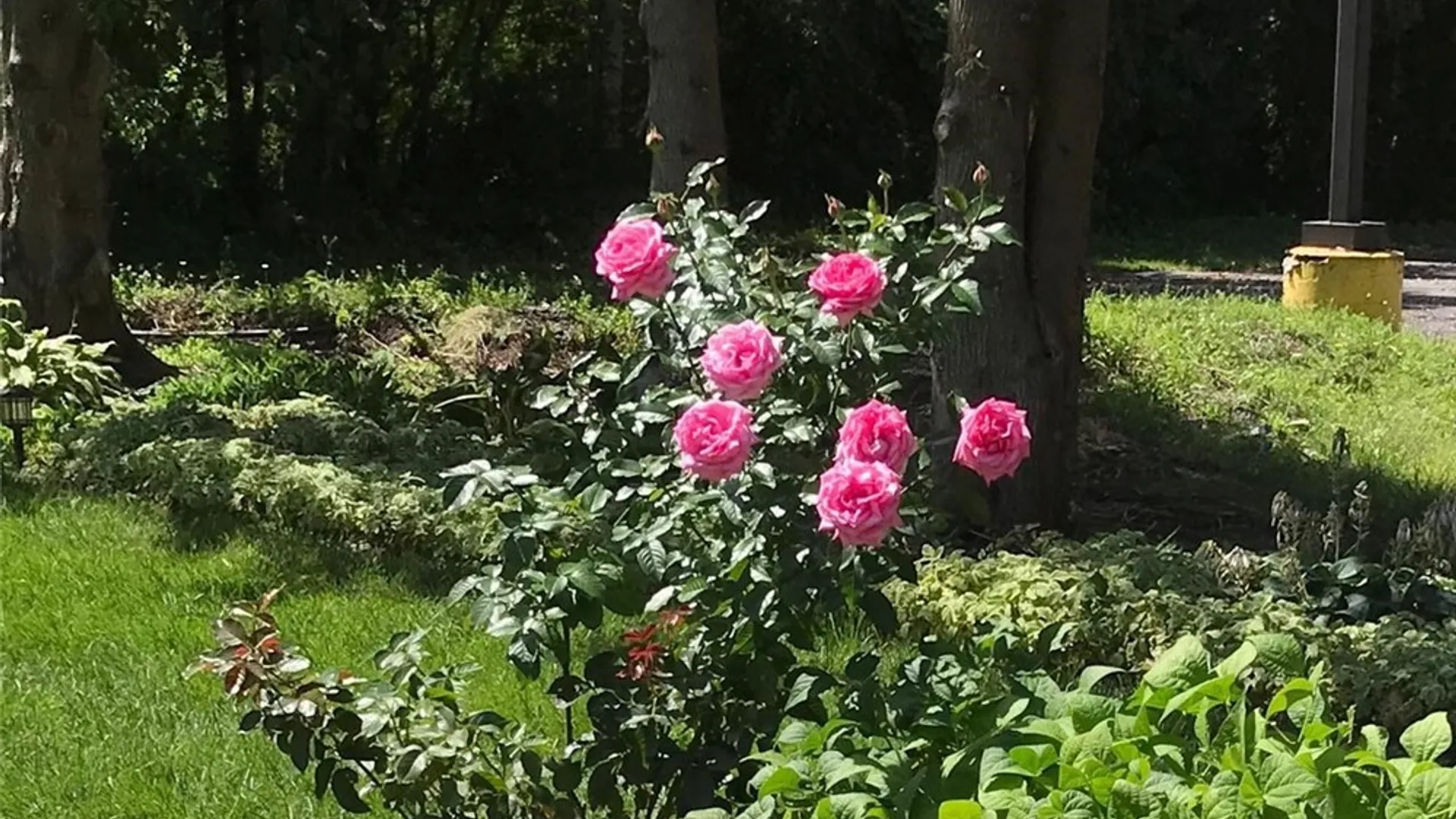 Property at 114 Memorial Parkway, Utica, NY 13501 37