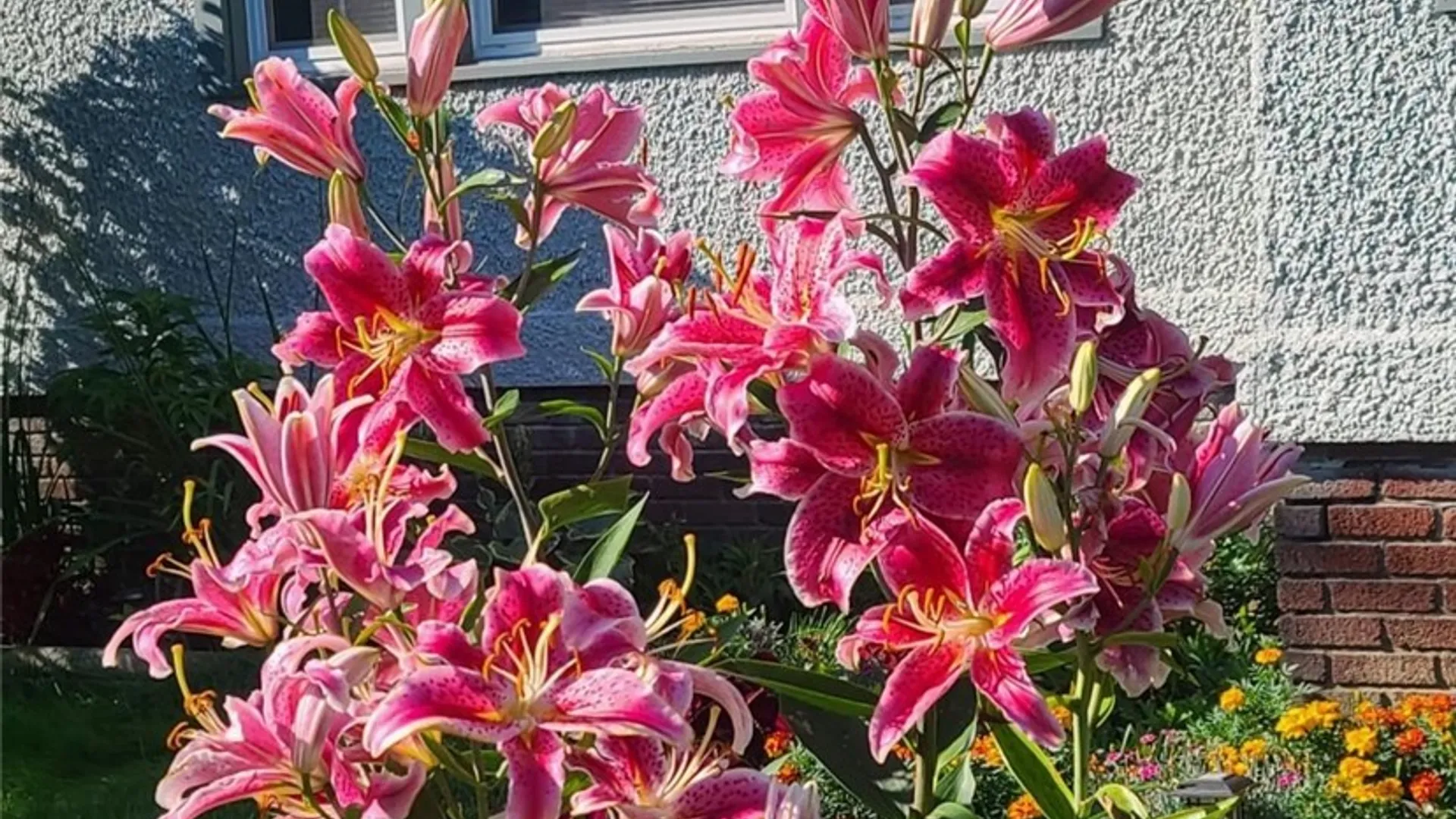 Property at 114 Memorial Parkway, Utica, NY 13501 39