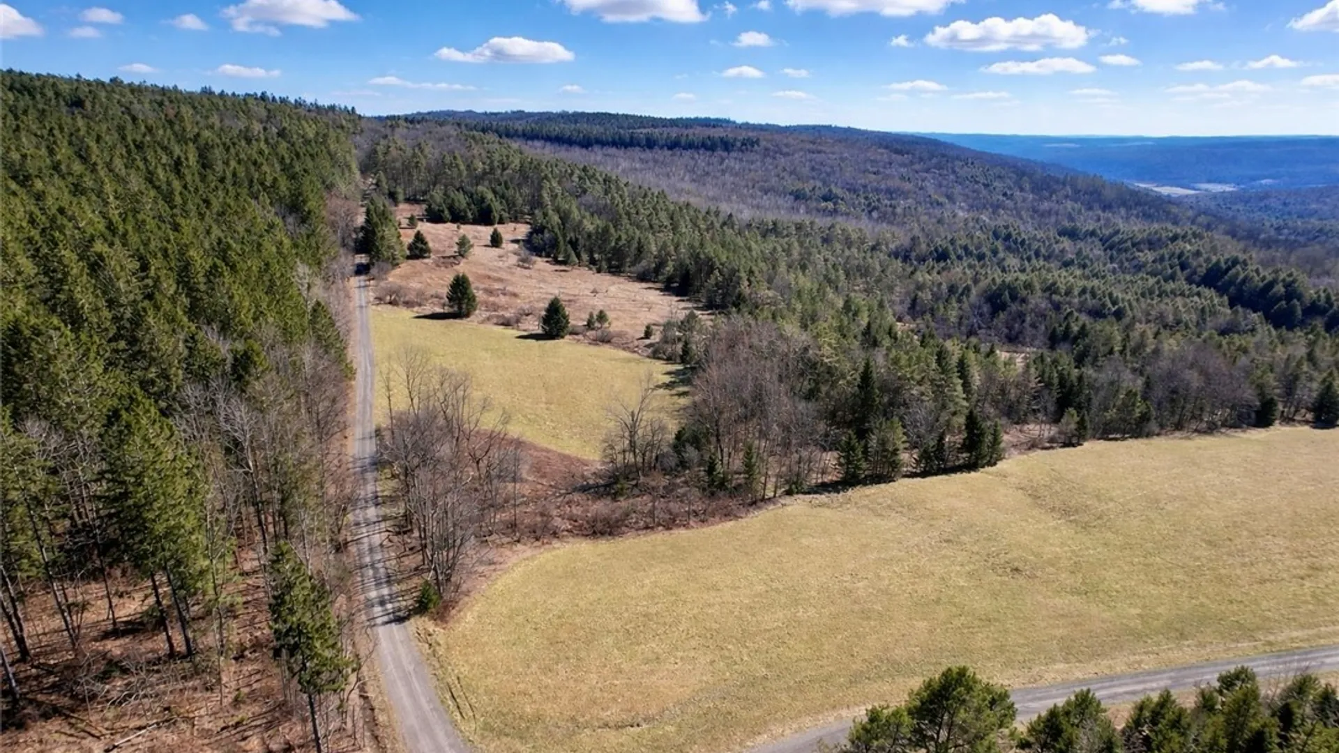 Property at 166 Springer Road, Lincklaen, NY 13052 2
