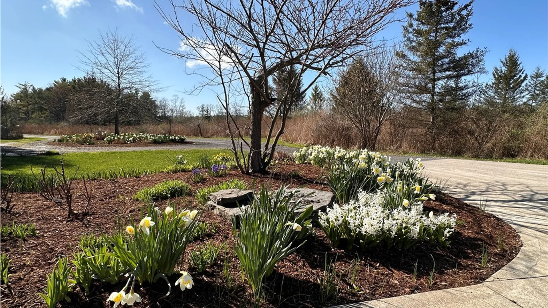 Property at 51 Hillcrest Road, Lansing, NY 14850 28