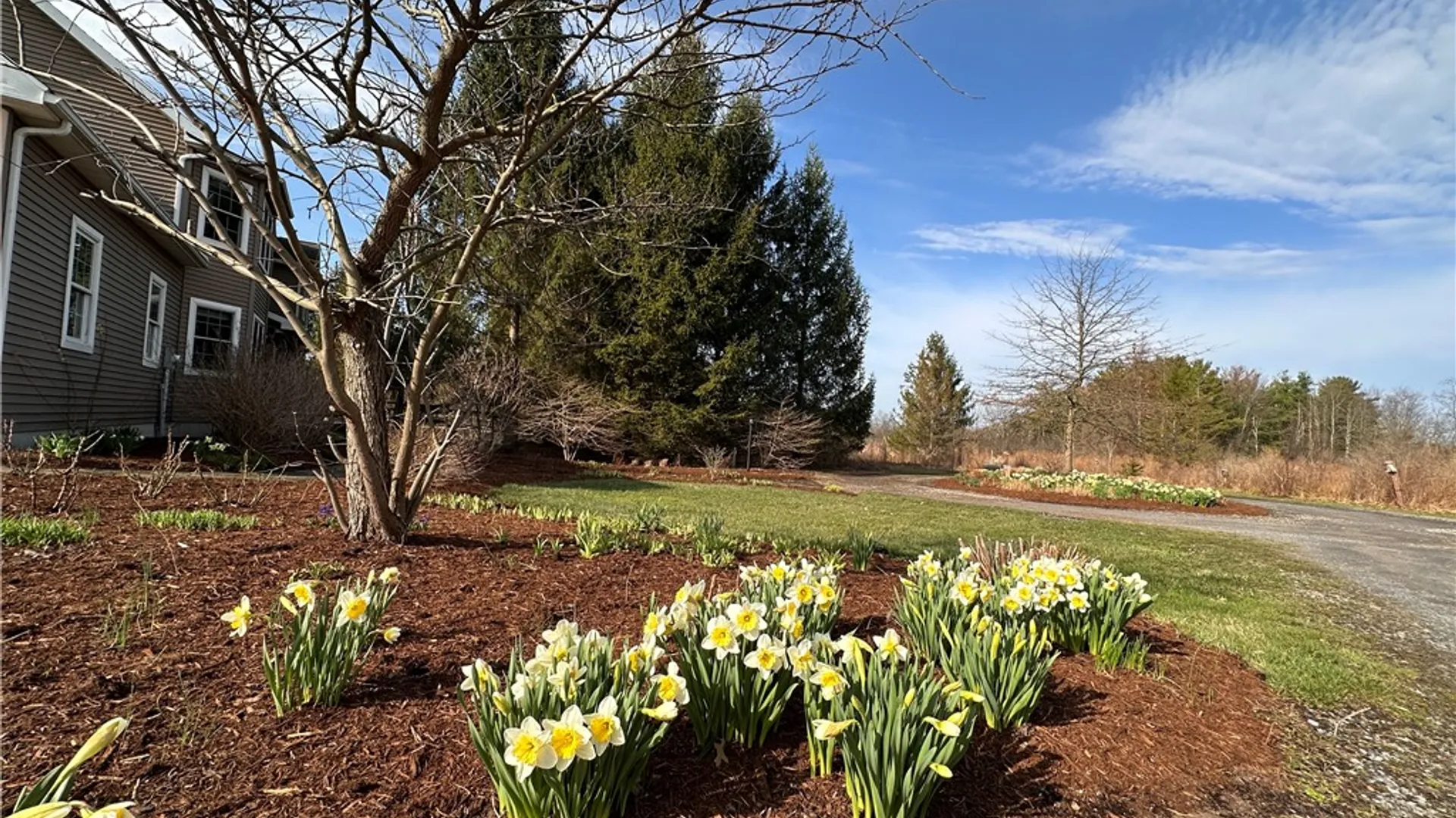 Property at 51 Hillcrest Road, Lansing, NY 14850 29