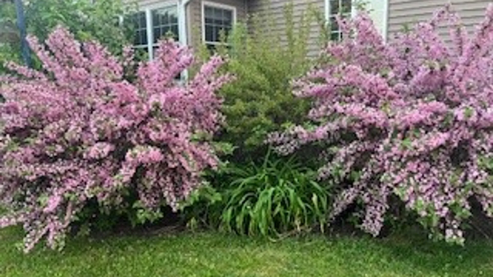 Property at 51 Hillcrest Road, Lansing, NY 14850 40