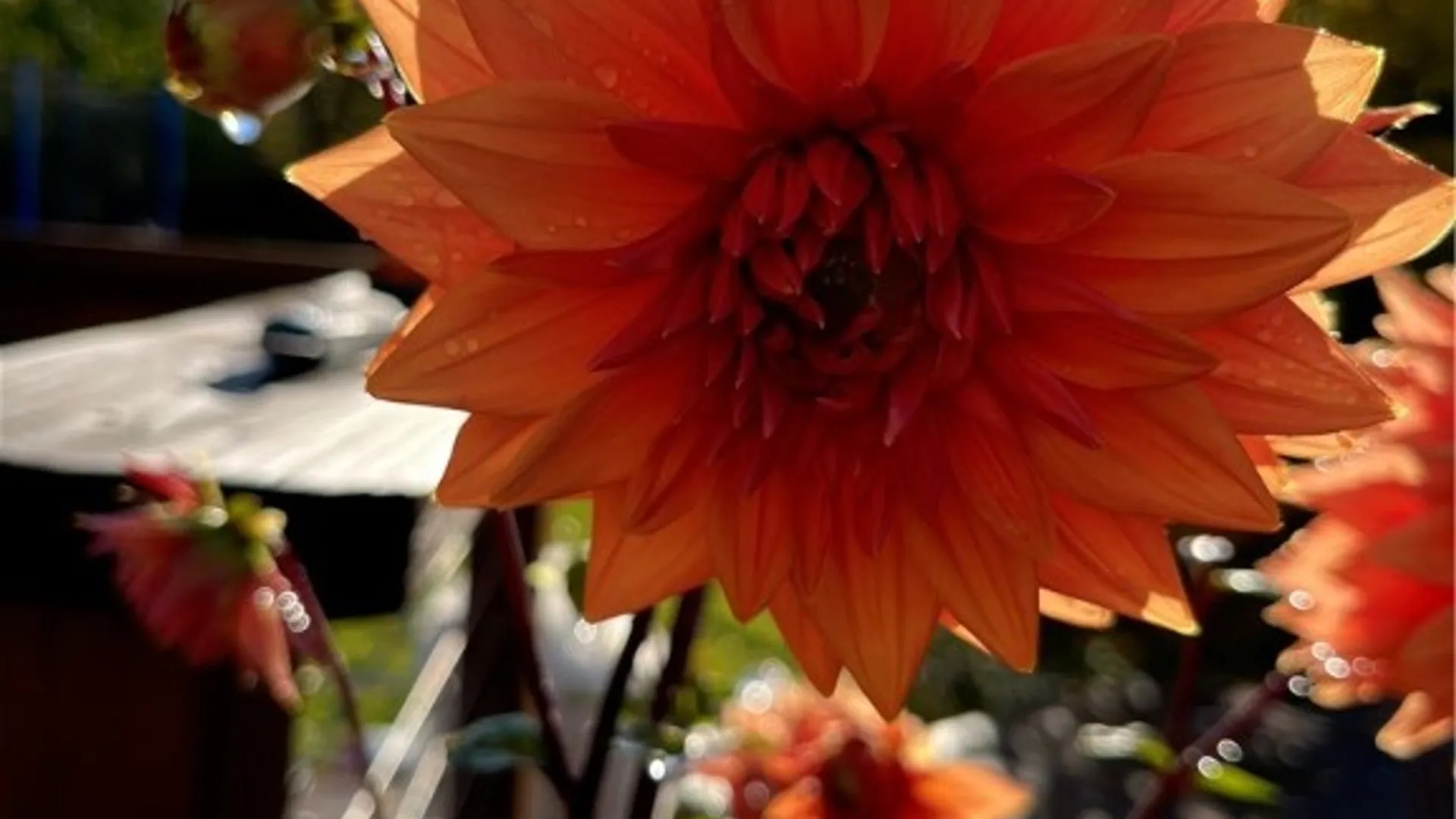 Property at 51 Hillcrest Road, Lansing, NY 14850 42