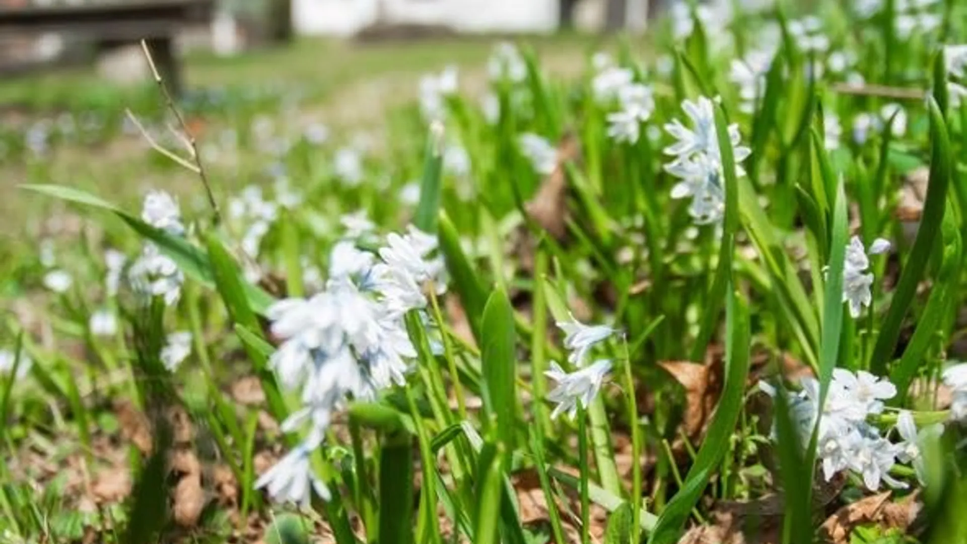 Property at 472 Main Street, Winfield, NY 13491 41