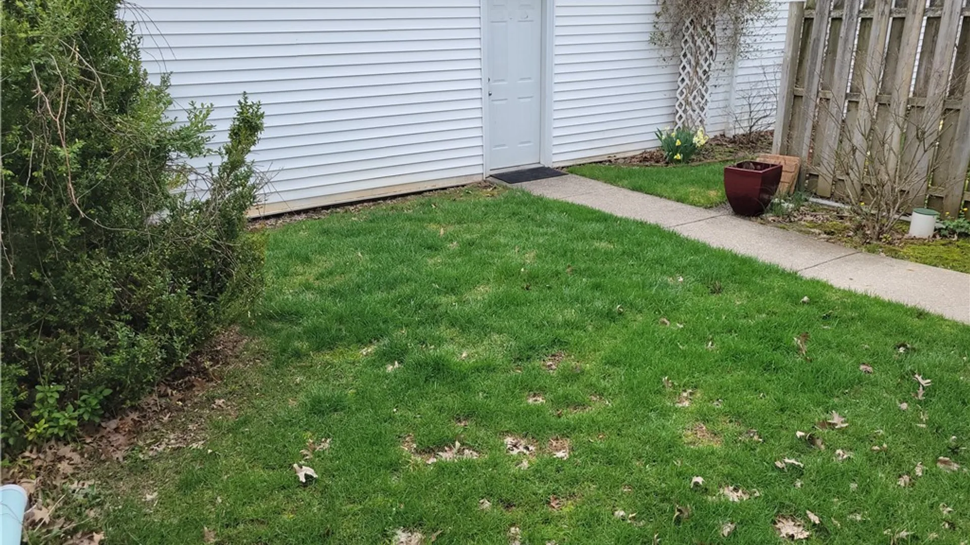 Property at 34 The Common, Lockport City, NY 14094 37