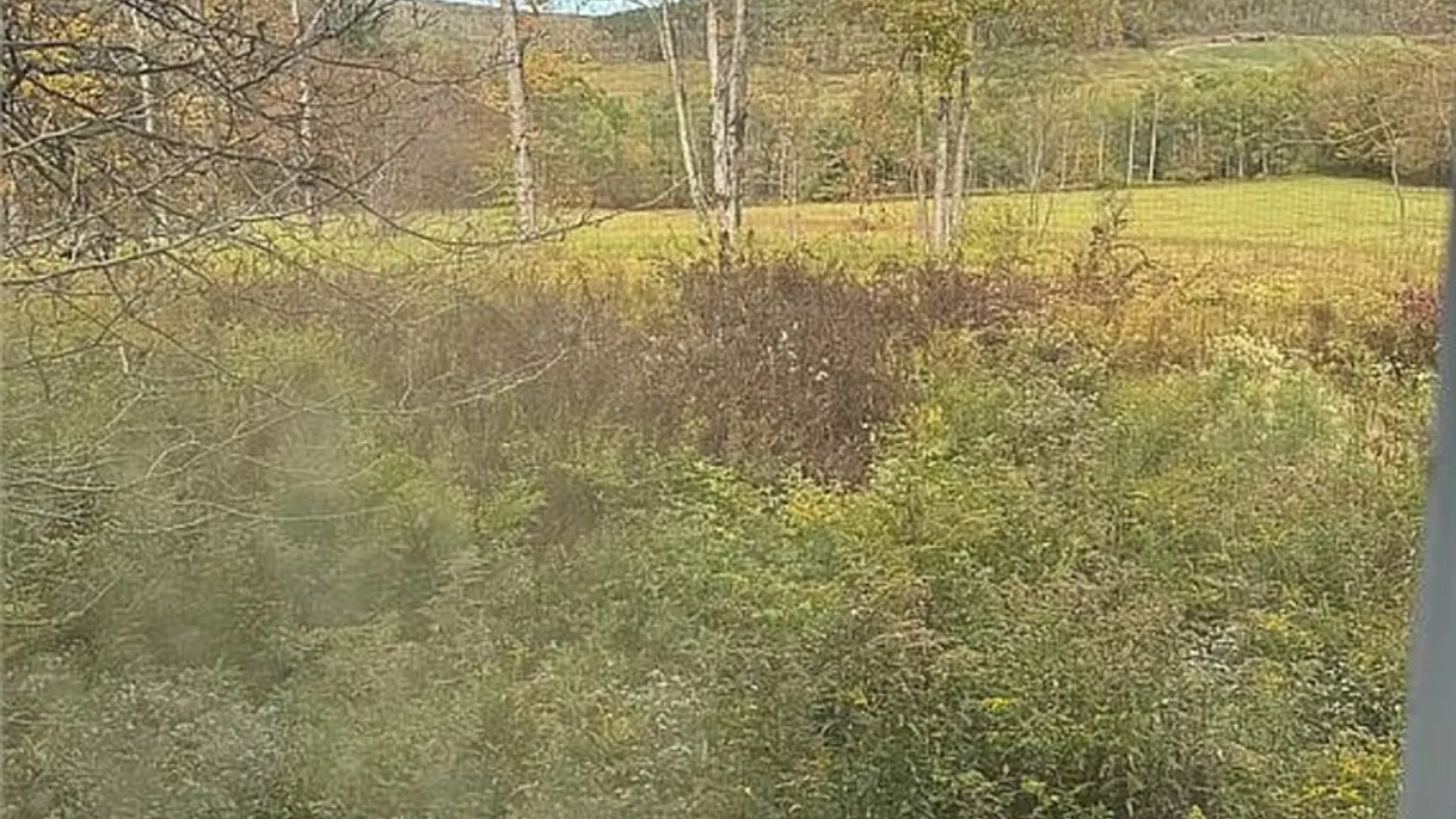 Property at 3458 Ray Hill Road, Andover, NY 14806 9