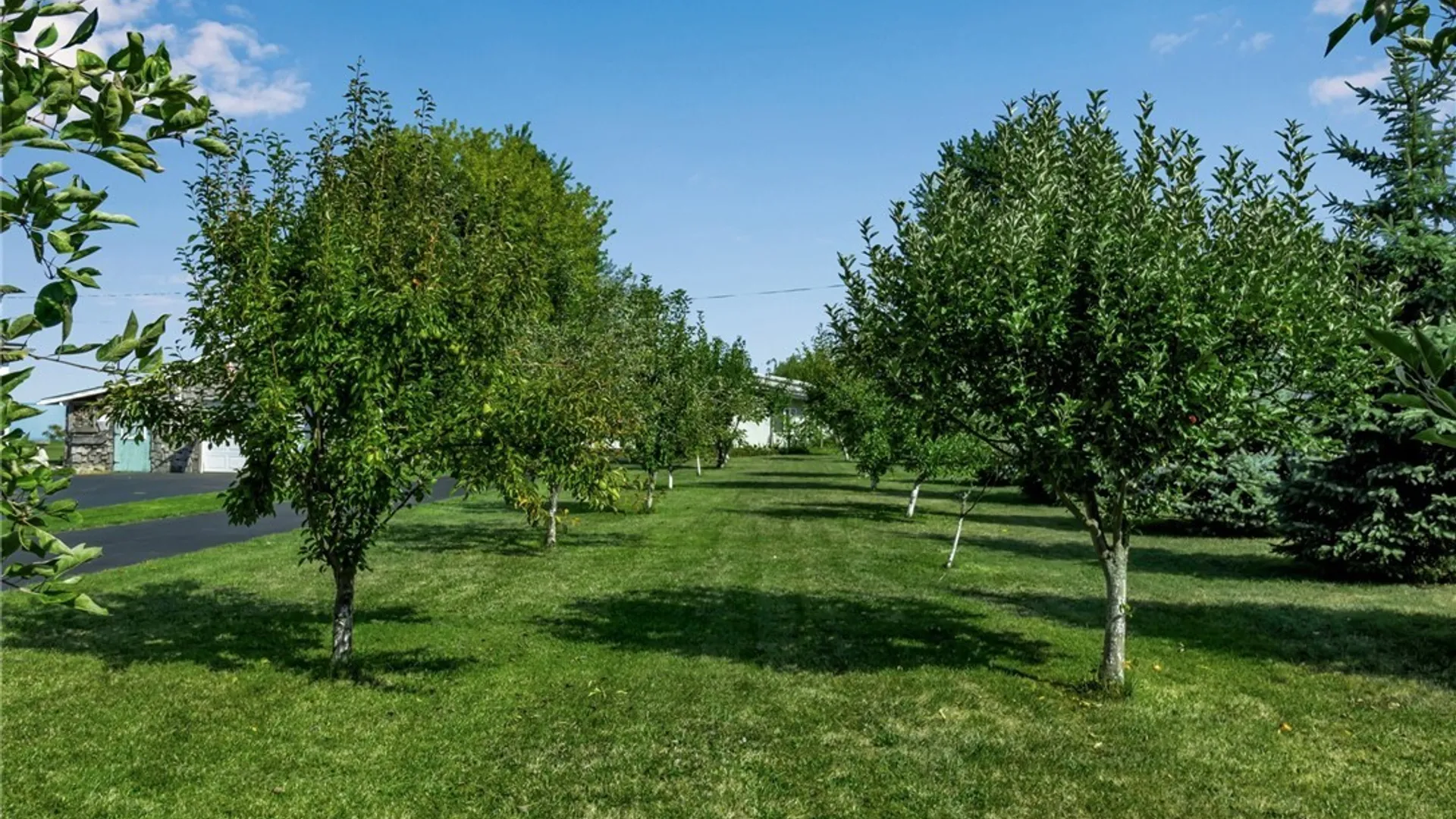 Property at 2477 Lake Road, Porter, NY 14131 3