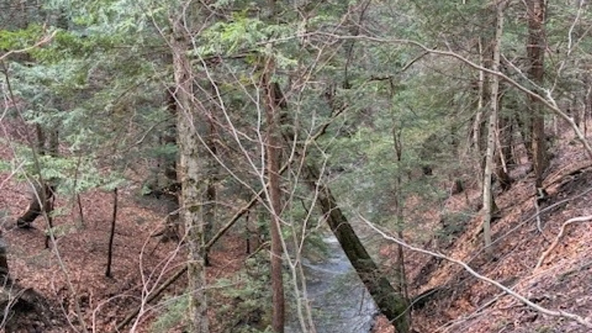 Property at 3811 Schintzius Road, Eden, NY 14057 25
