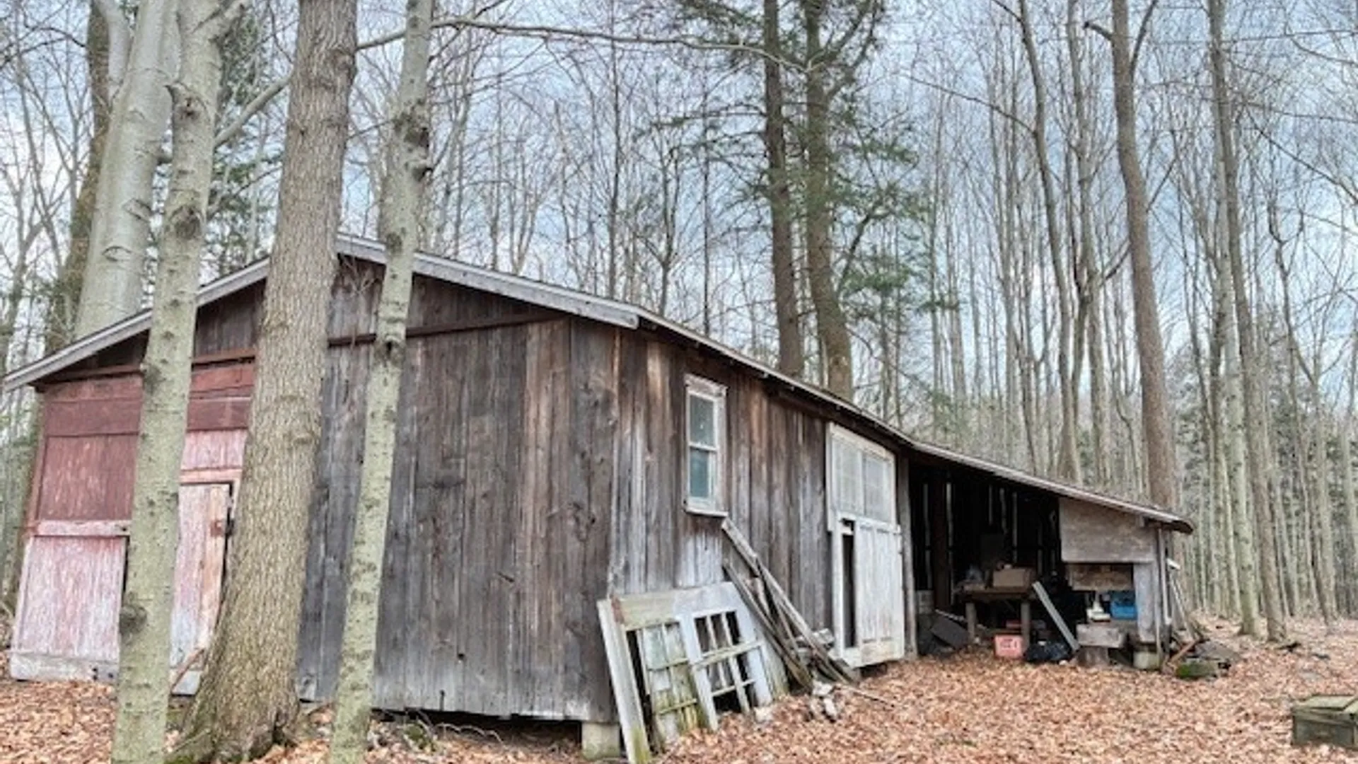 Property at 3811 Schintzius Road, Eden, NY 14057 27
