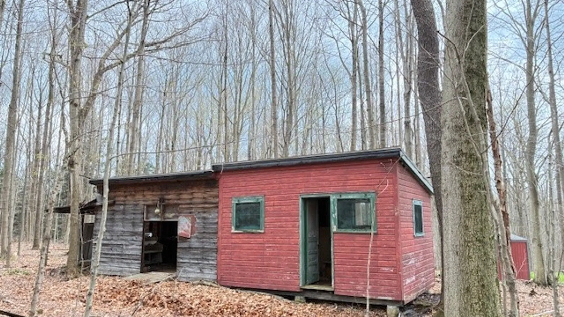 Property at 3811 Schintzius Road, Eden, NY 14057 28