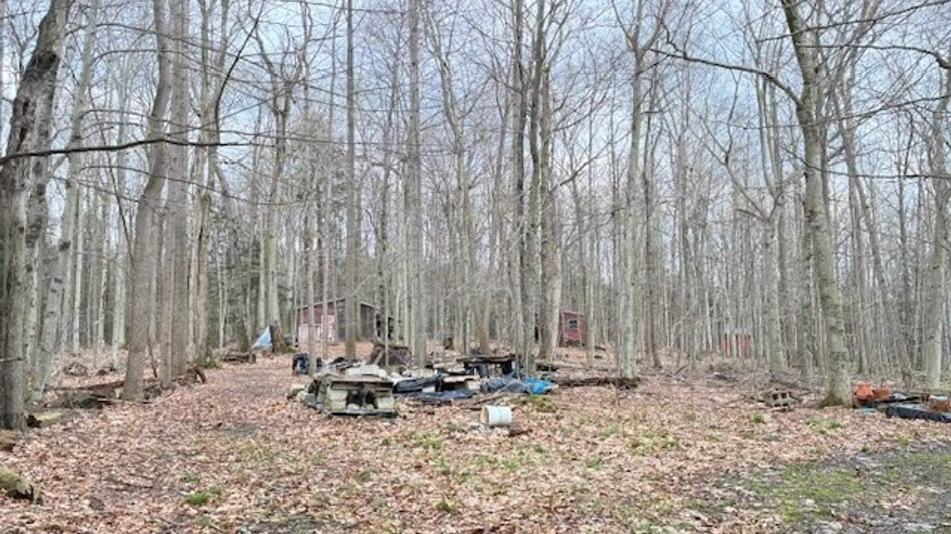 Property at 3811 Schintzius Road, Eden, NY 14057 38