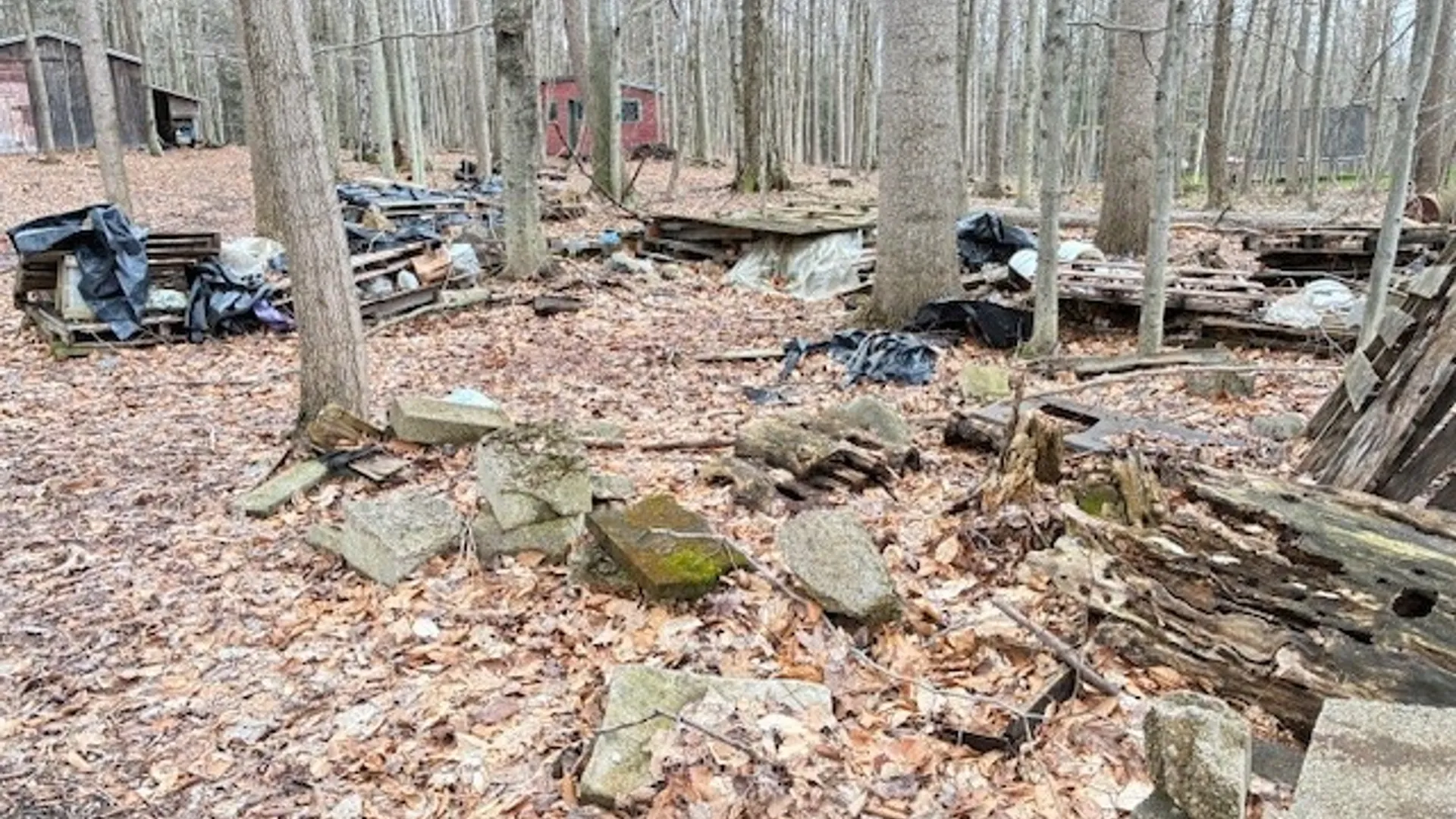 Property at 3811 Schintzius Road, Eden, NY 14057 39
