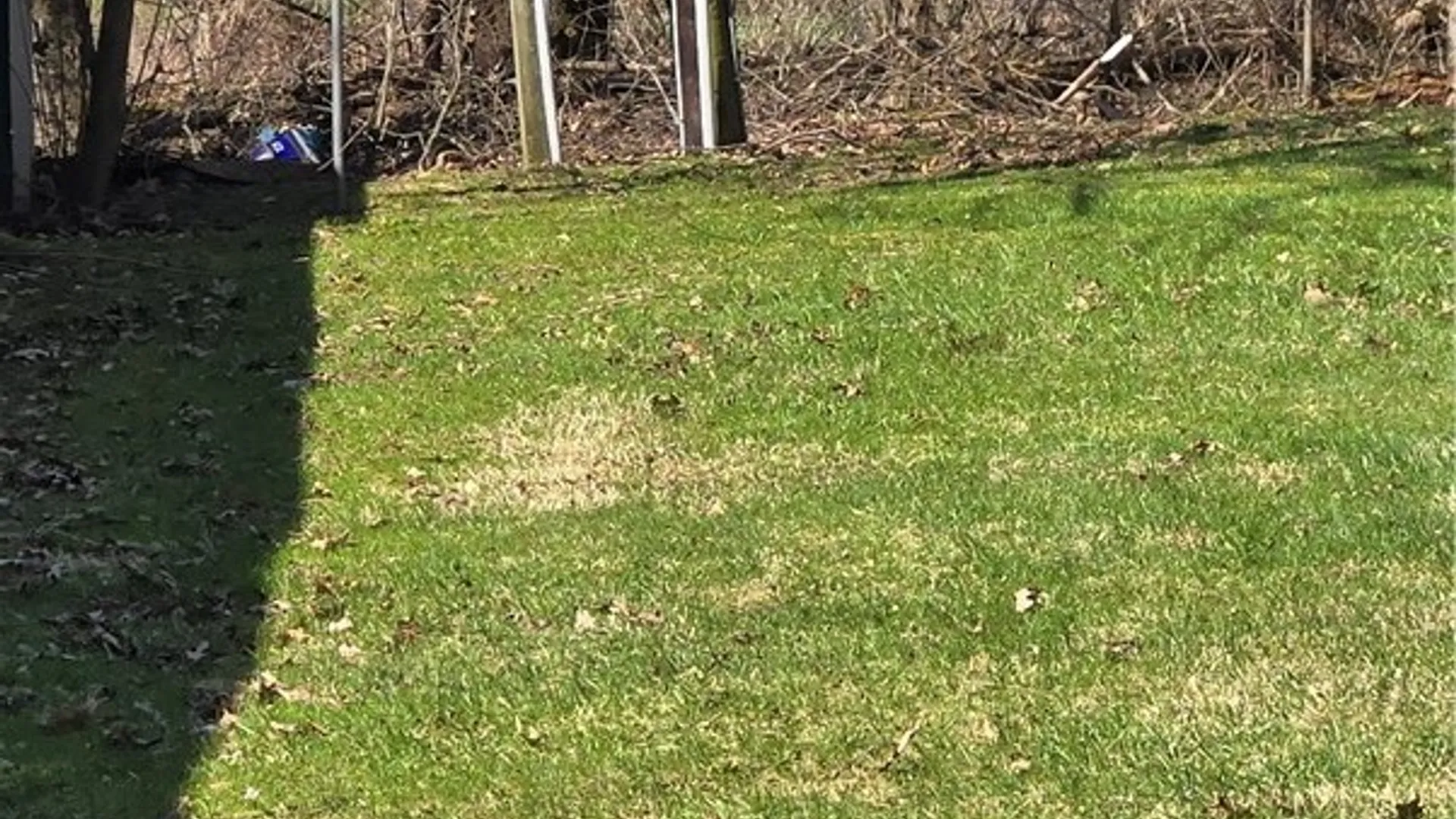 Property at 101 Deshaw Road, Unadilla, NY 13849 2