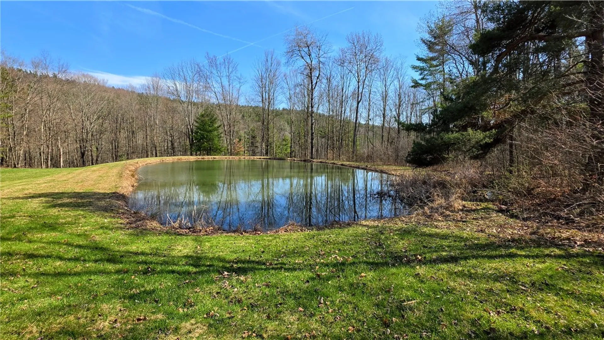Property at 556 Benjamin Road, Erin, NY 14824 6
