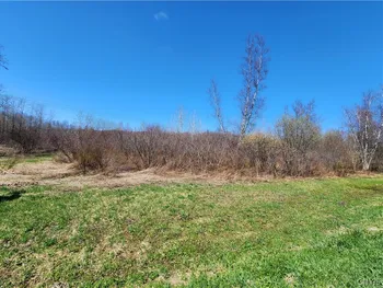 0 Lehigh Road, Richland, NY 13142