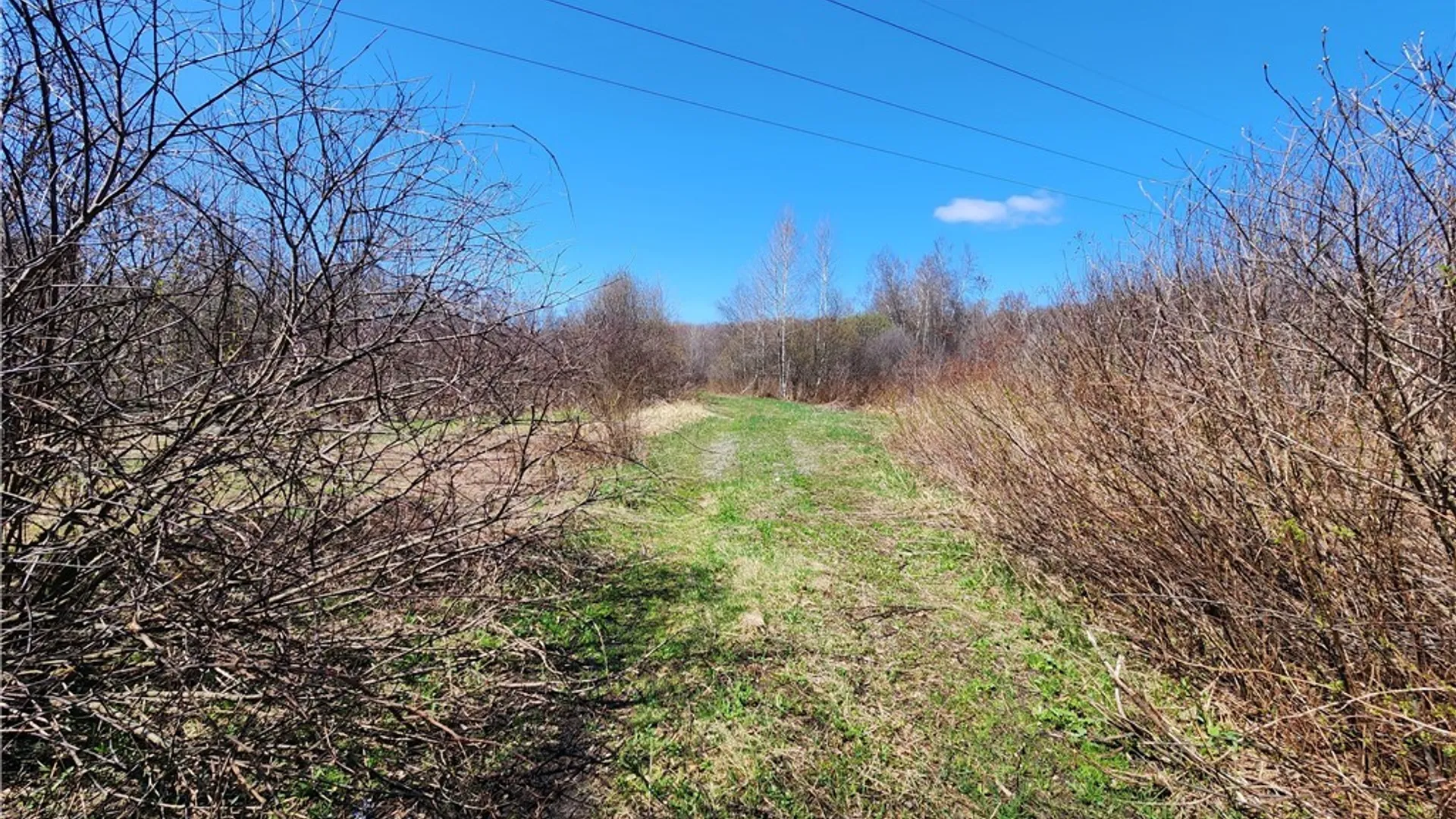 Property at 0 Lehigh Road, Richland, NY 13142 2