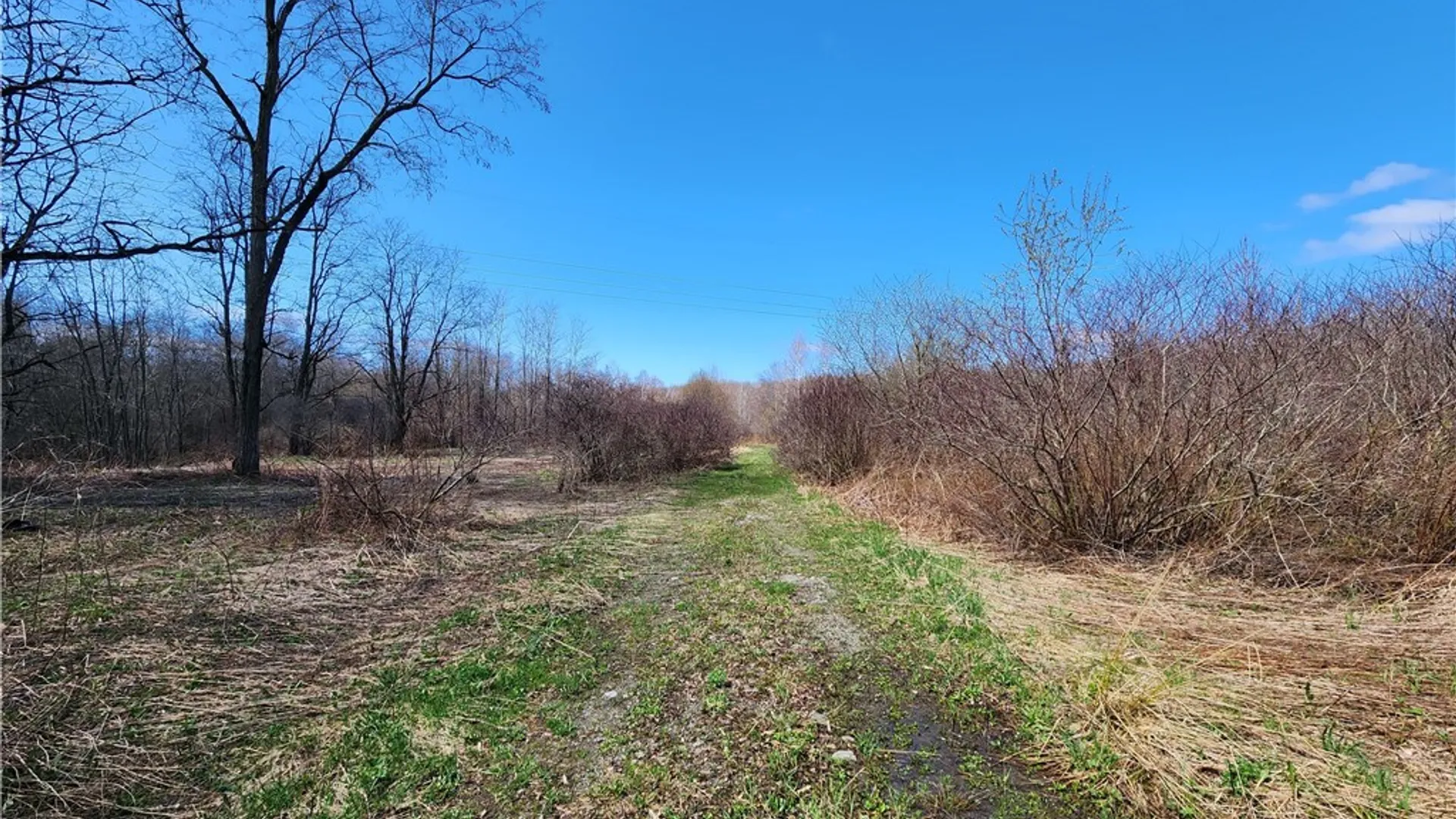 Property at 0 Lehigh Road, Richland, NY 13142 3