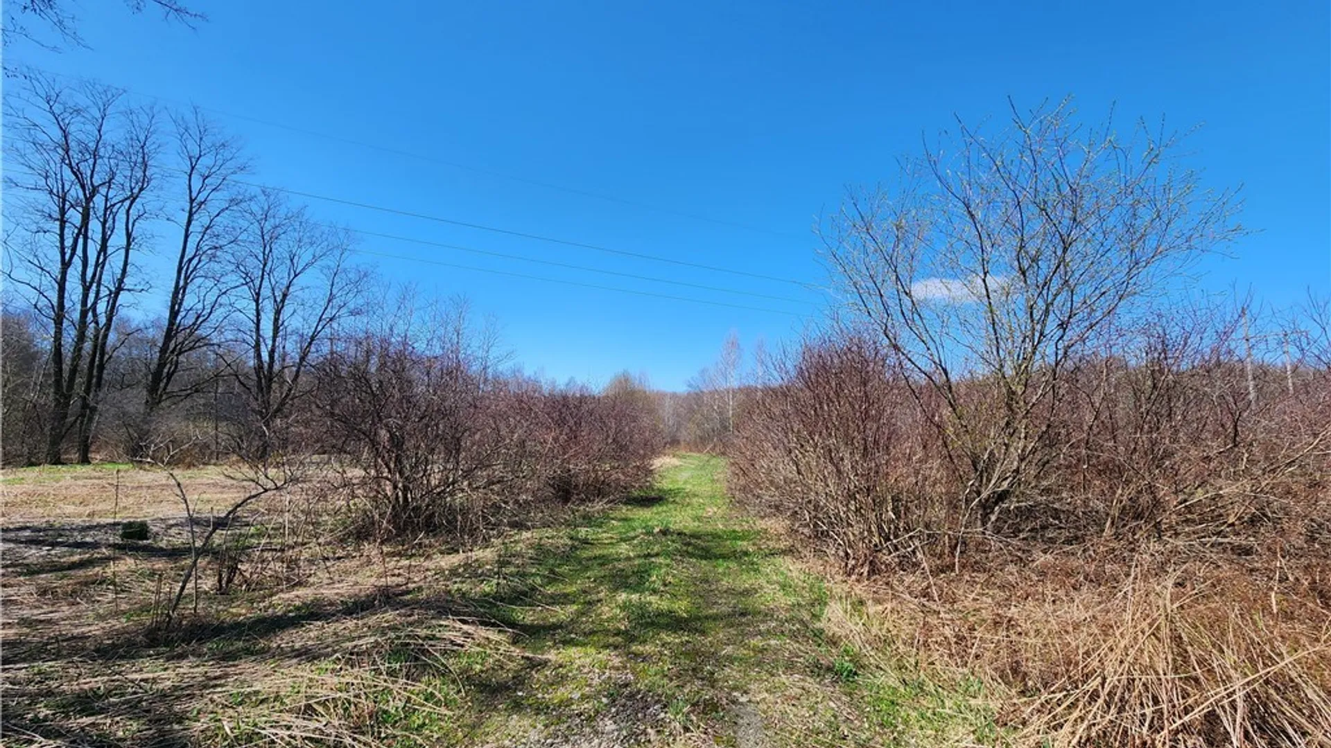 Property at 0 Lehigh Road, Richland, NY 13142 4