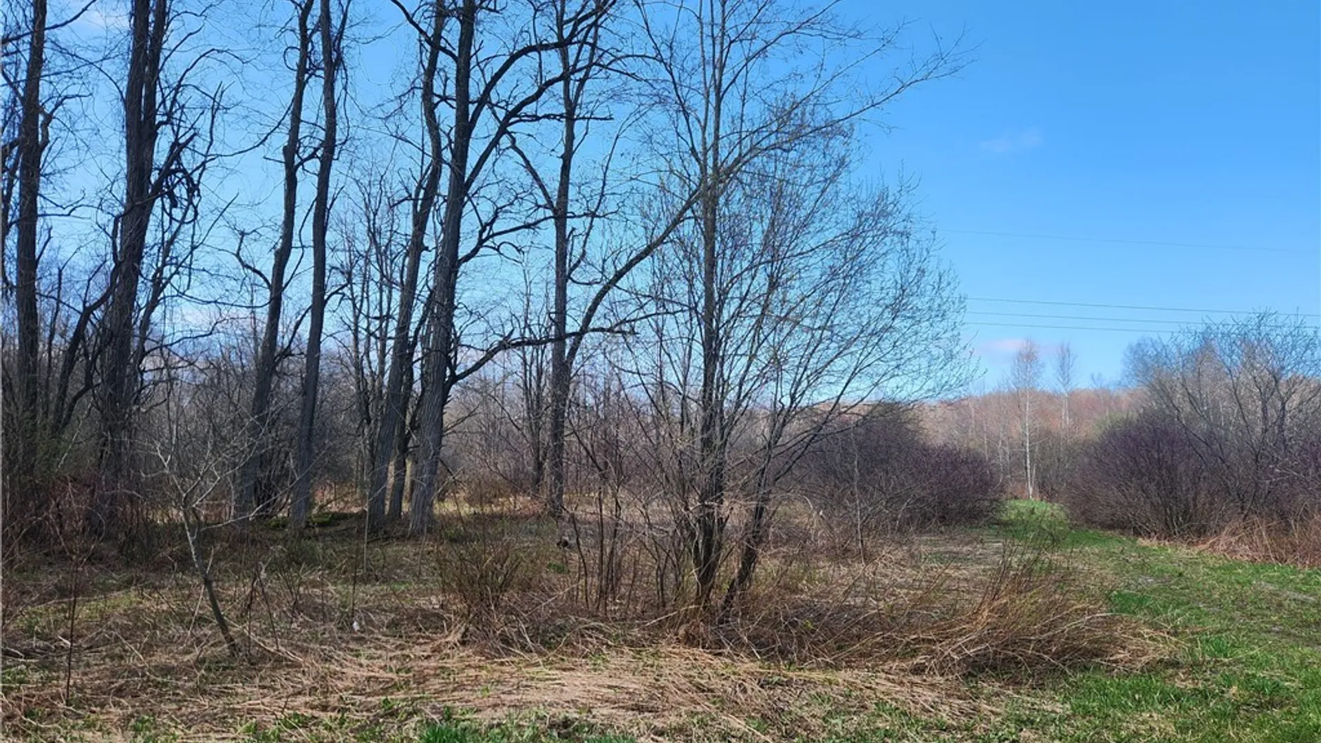 Property at 0 Lehigh Road, Richland, NY 13142 5