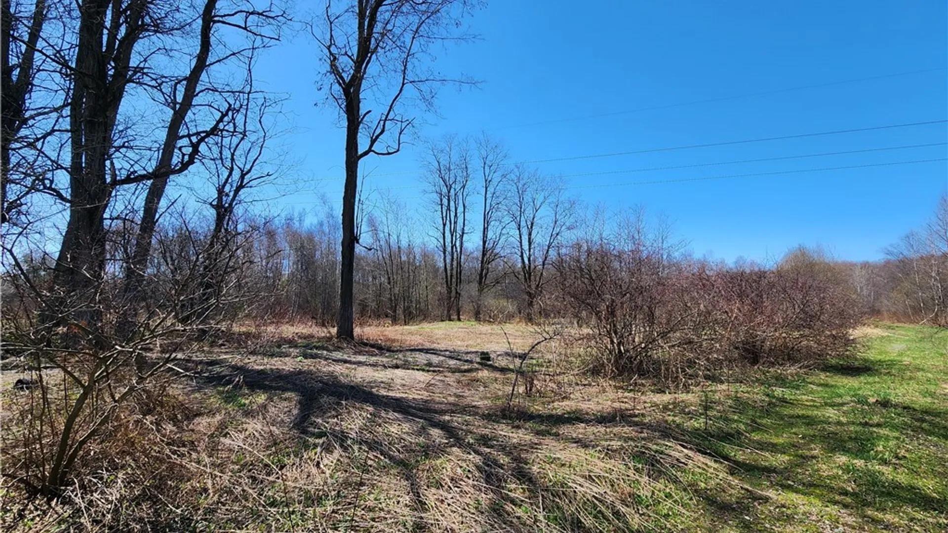 Property at 0 Lehigh Road, Richland, NY 13142 7