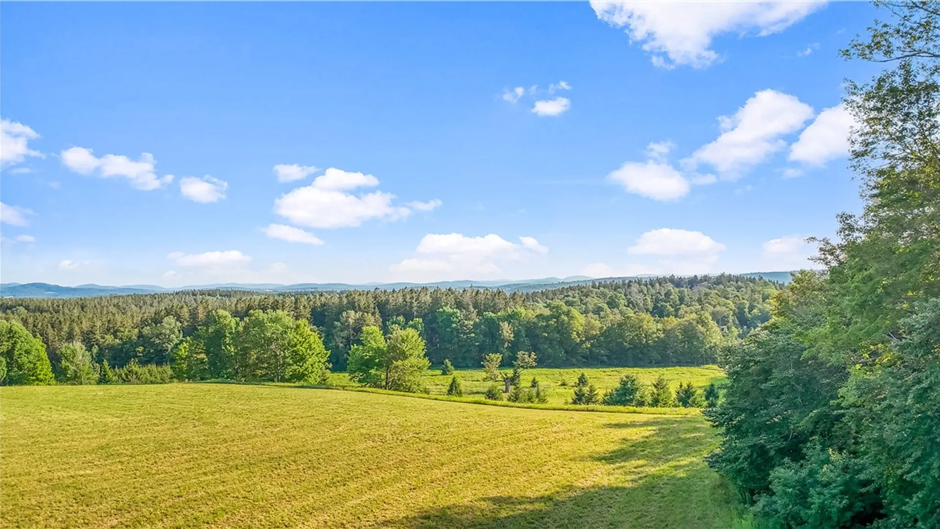 Property at 137 Stone Ridge Drive, Jefferson, NY 12036 12