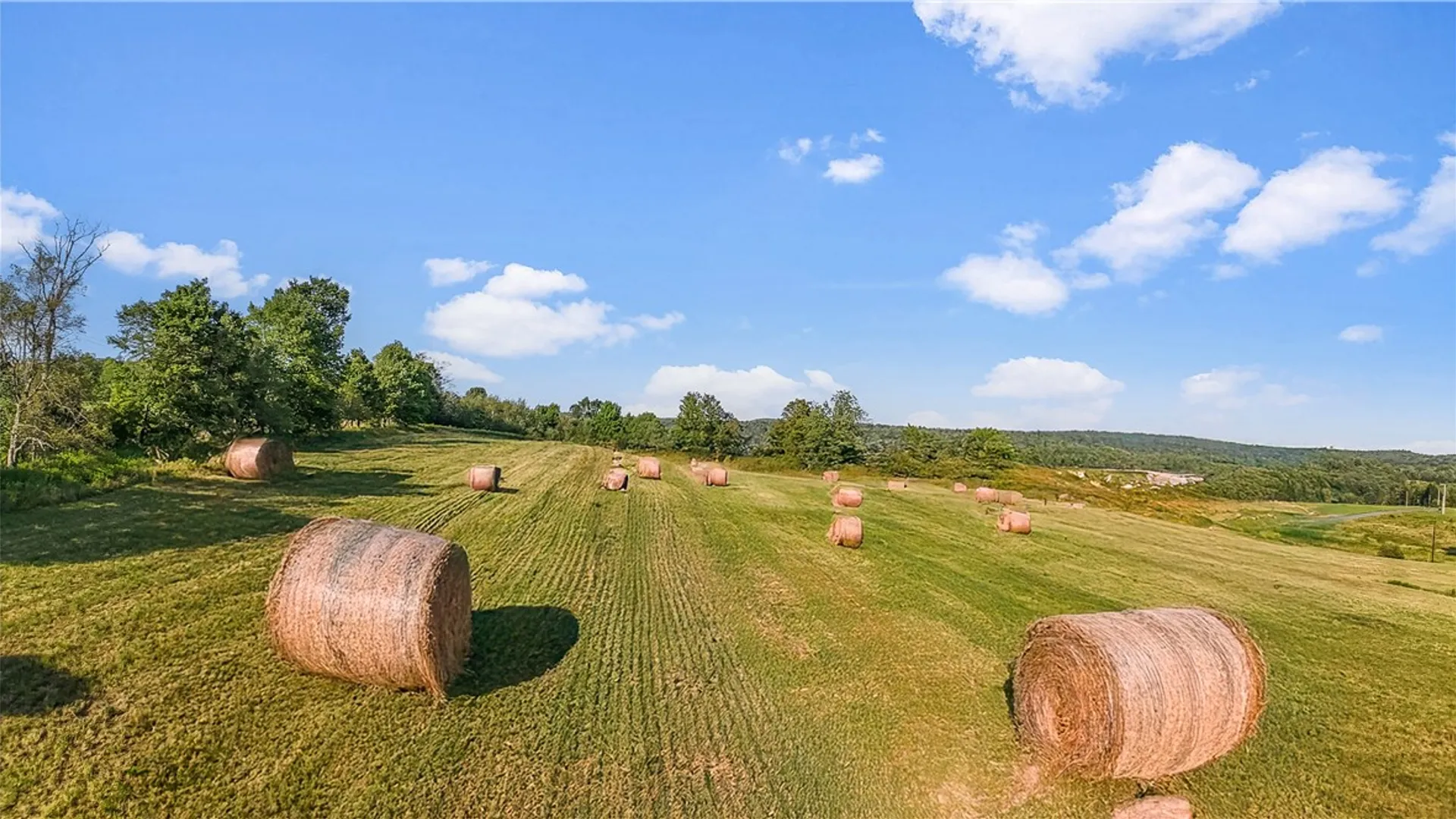 Property at 137 Stone Ridge Drive, Jefferson, NY 12036 14