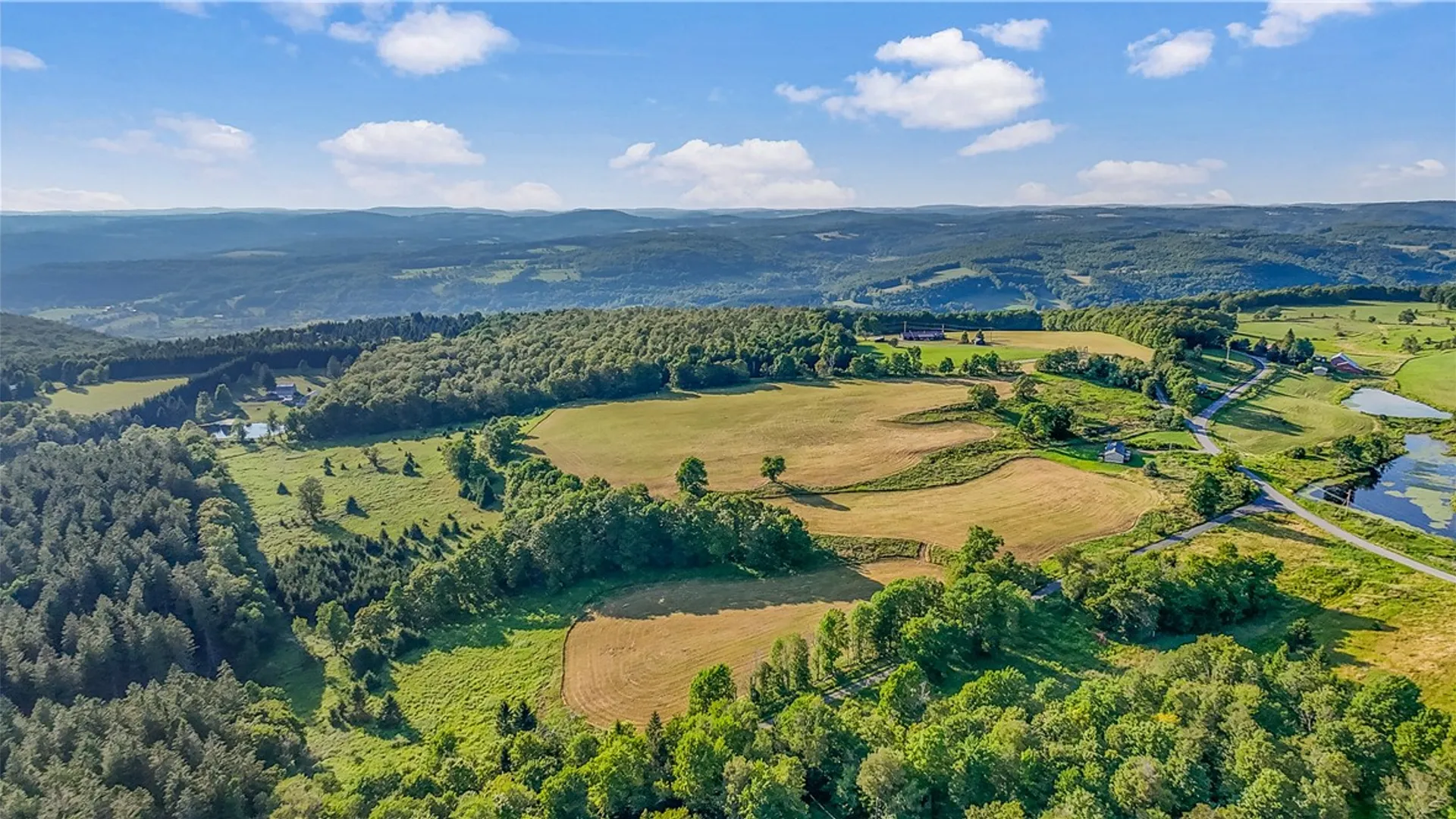 Property at 137 Stone Ridge Drive, Jefferson, NY 12036 16