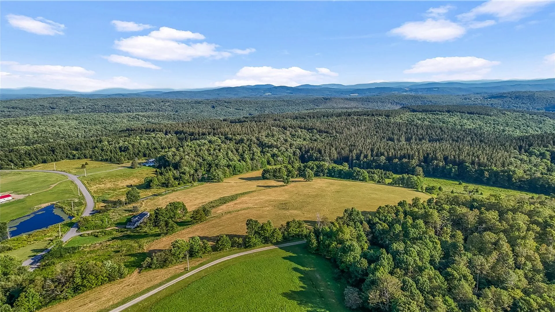 Property at 137 Stone Ridge Drive, Jefferson, NY 12036 18