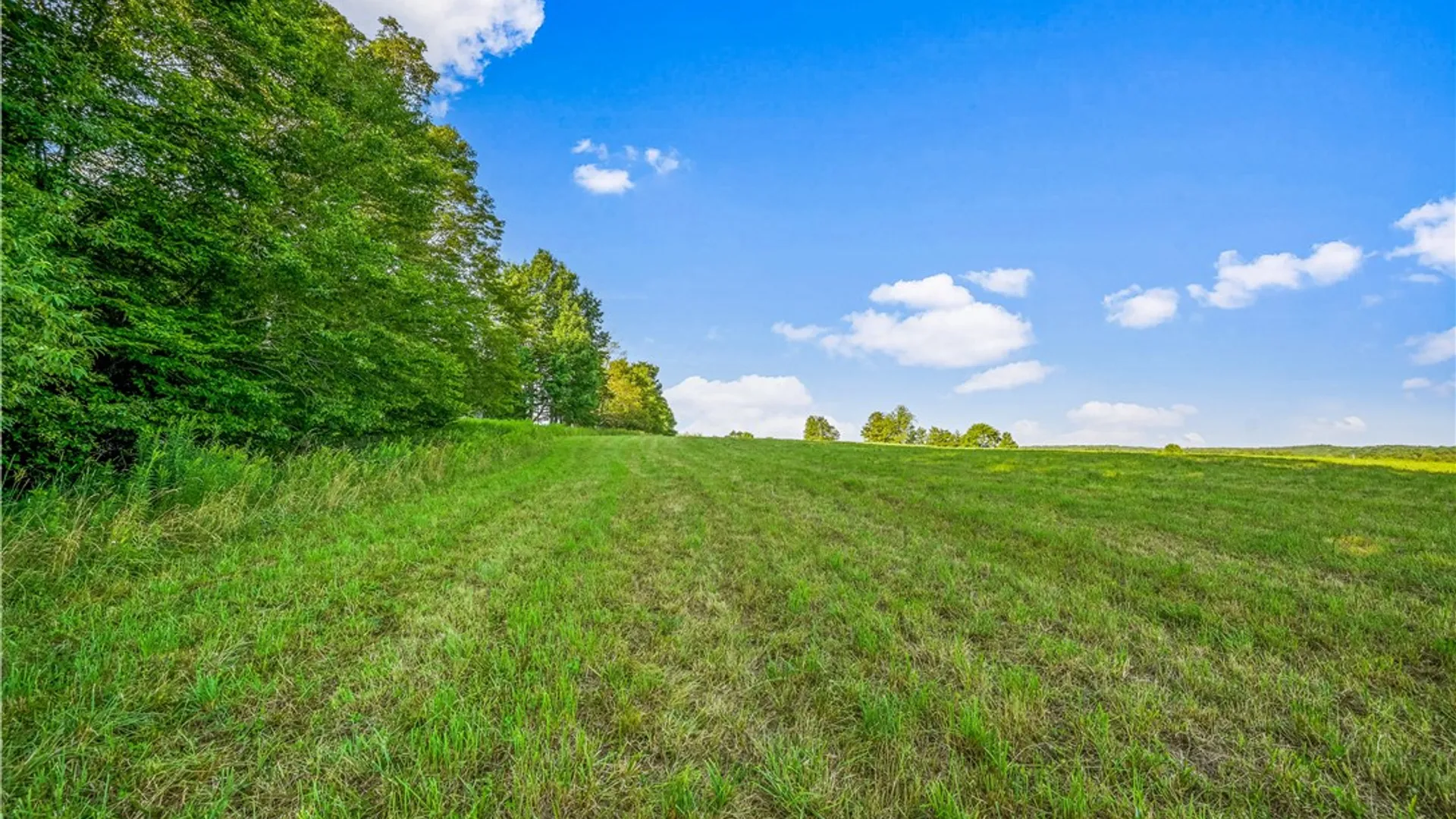 Property at 137 Stone Ridge Drive, Jefferson, NY 12036 2