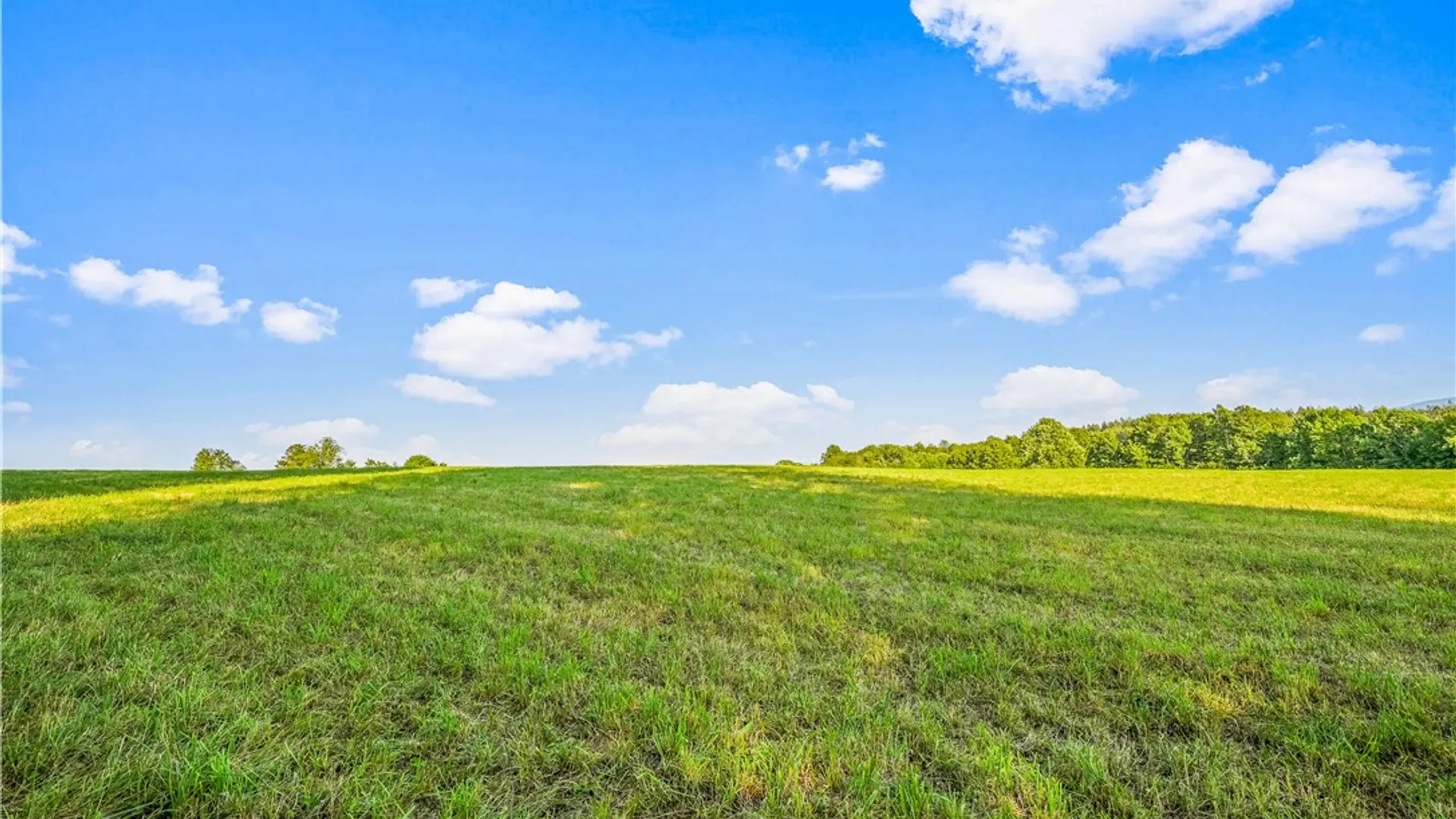 Property at 137 Stone Ridge Drive, Jefferson, NY 12036 4