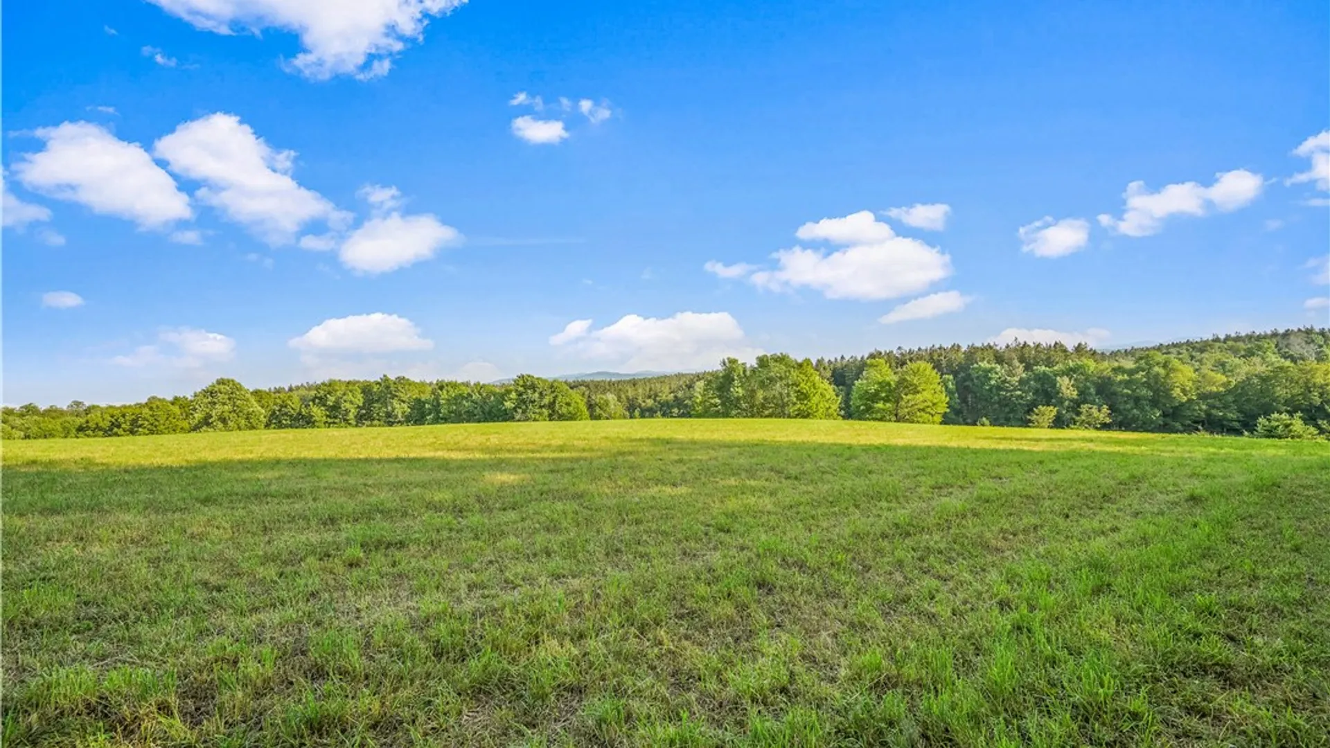 Property at 137 Stone Ridge Drive, Jefferson, NY 12036 5