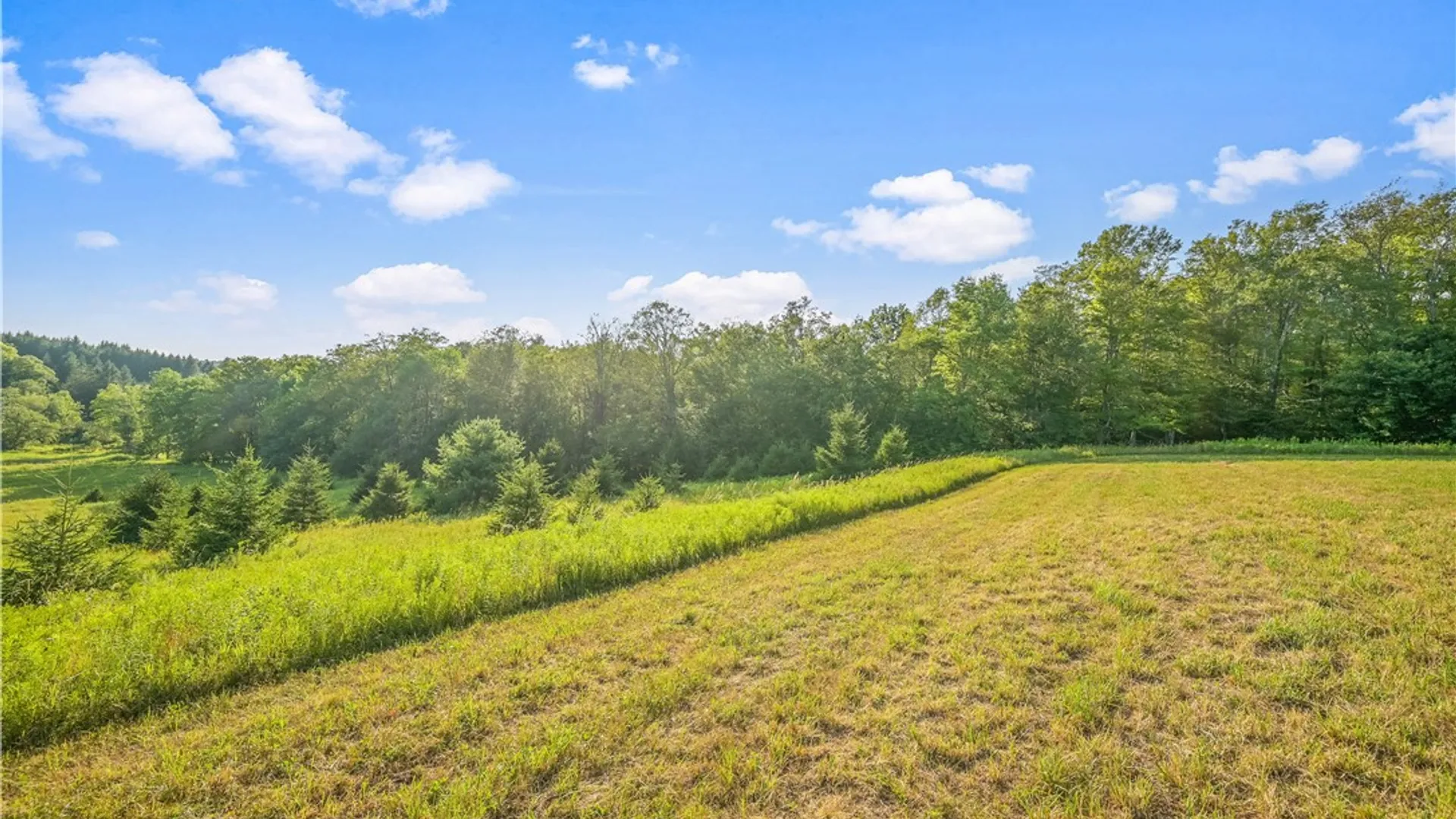 Property at 137 Stone Ridge Drive, Jefferson, NY 12036 6