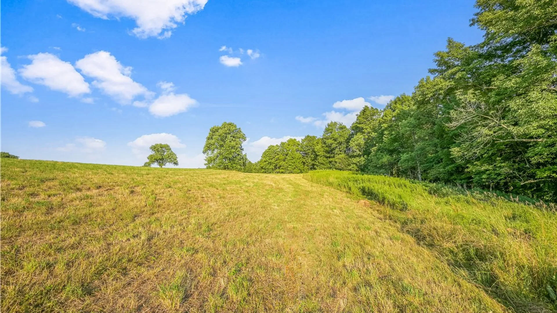 Property at 137 Stone Ridge Drive, Jefferson, NY 12036 7