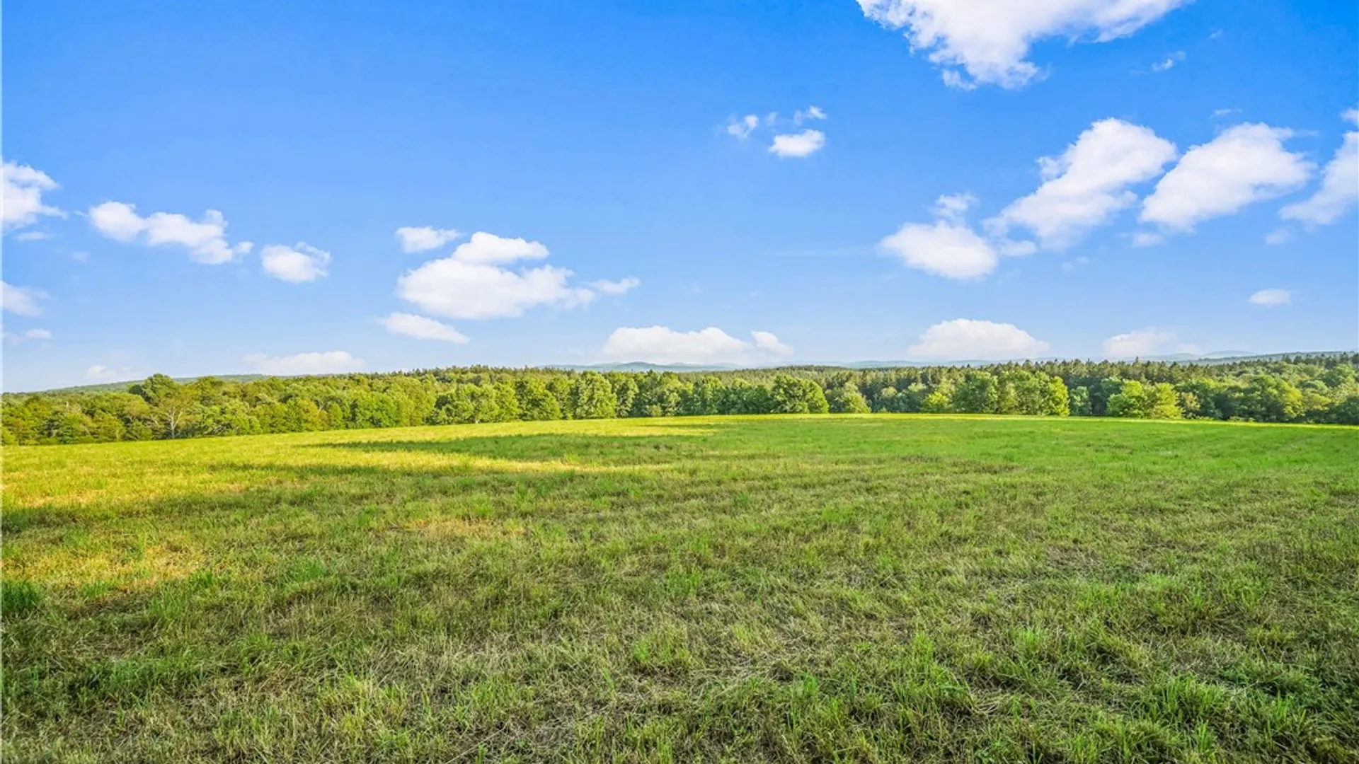 Property at 137 Stone Ridge Drive, Jefferson, NY 12036 8