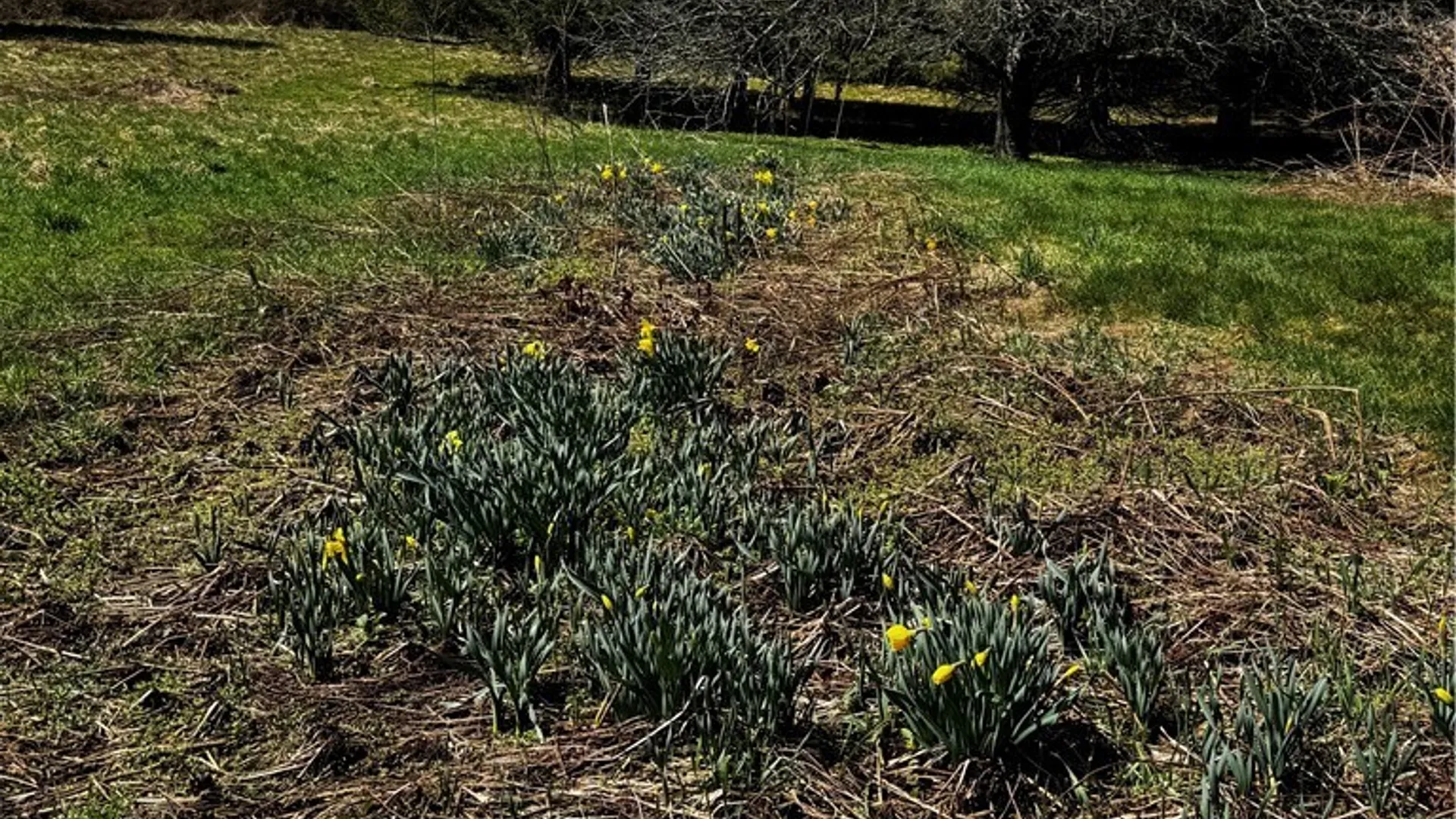 Property at 2846 Hill Road, Madison, NY 13346 37