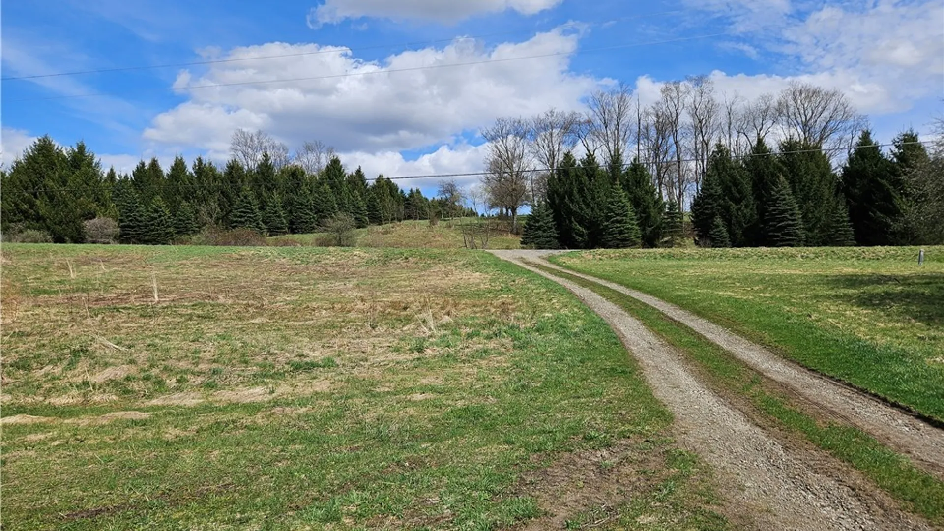 Property at 7829 Jersey Hollow Road, Mansfield, NY 14755 17