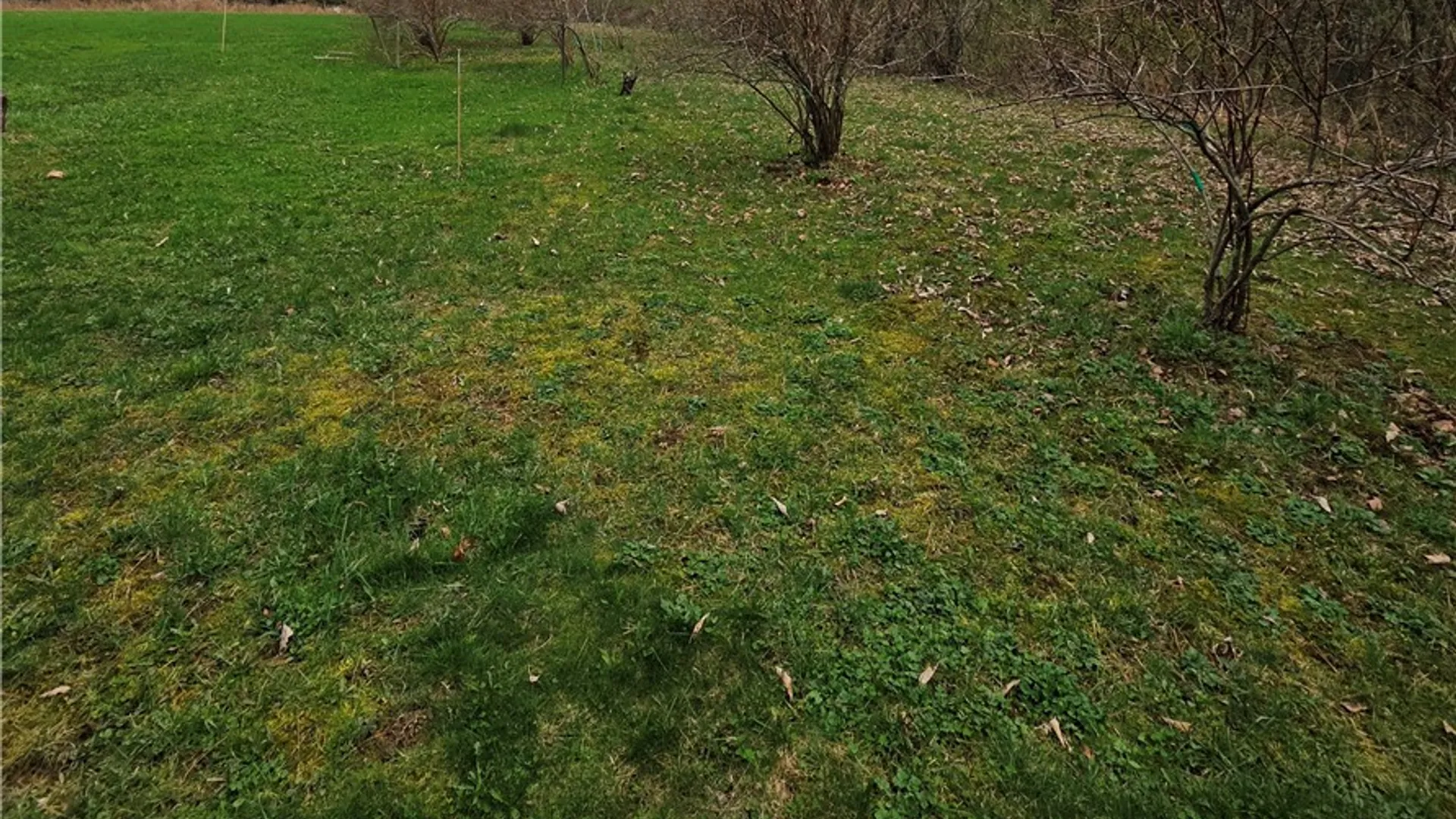 Property at 5343 State Highway 23, Norwich, NY 13815 15