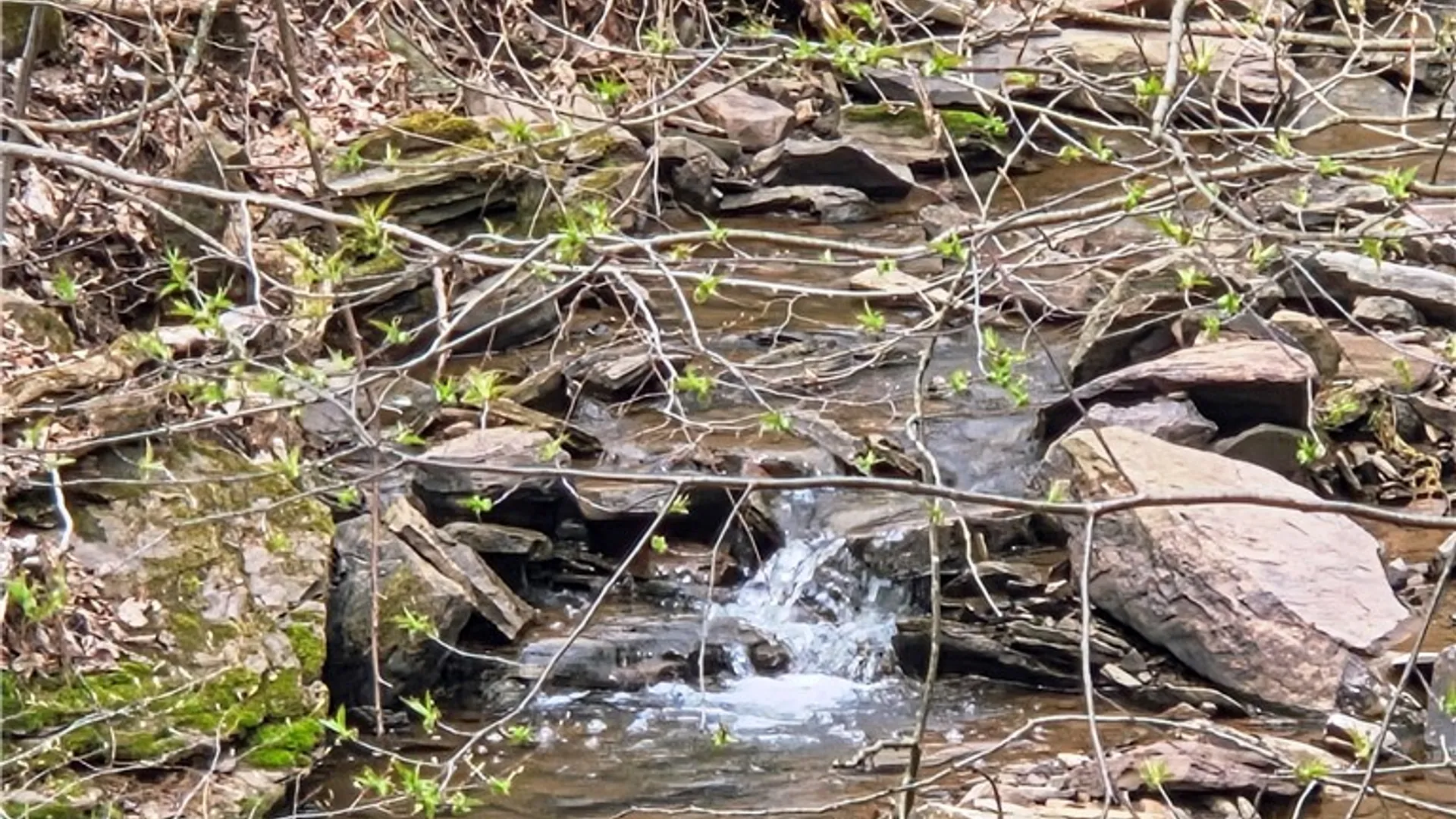 Property at 5343 State Highway 23, Norwich, NY 13815 35