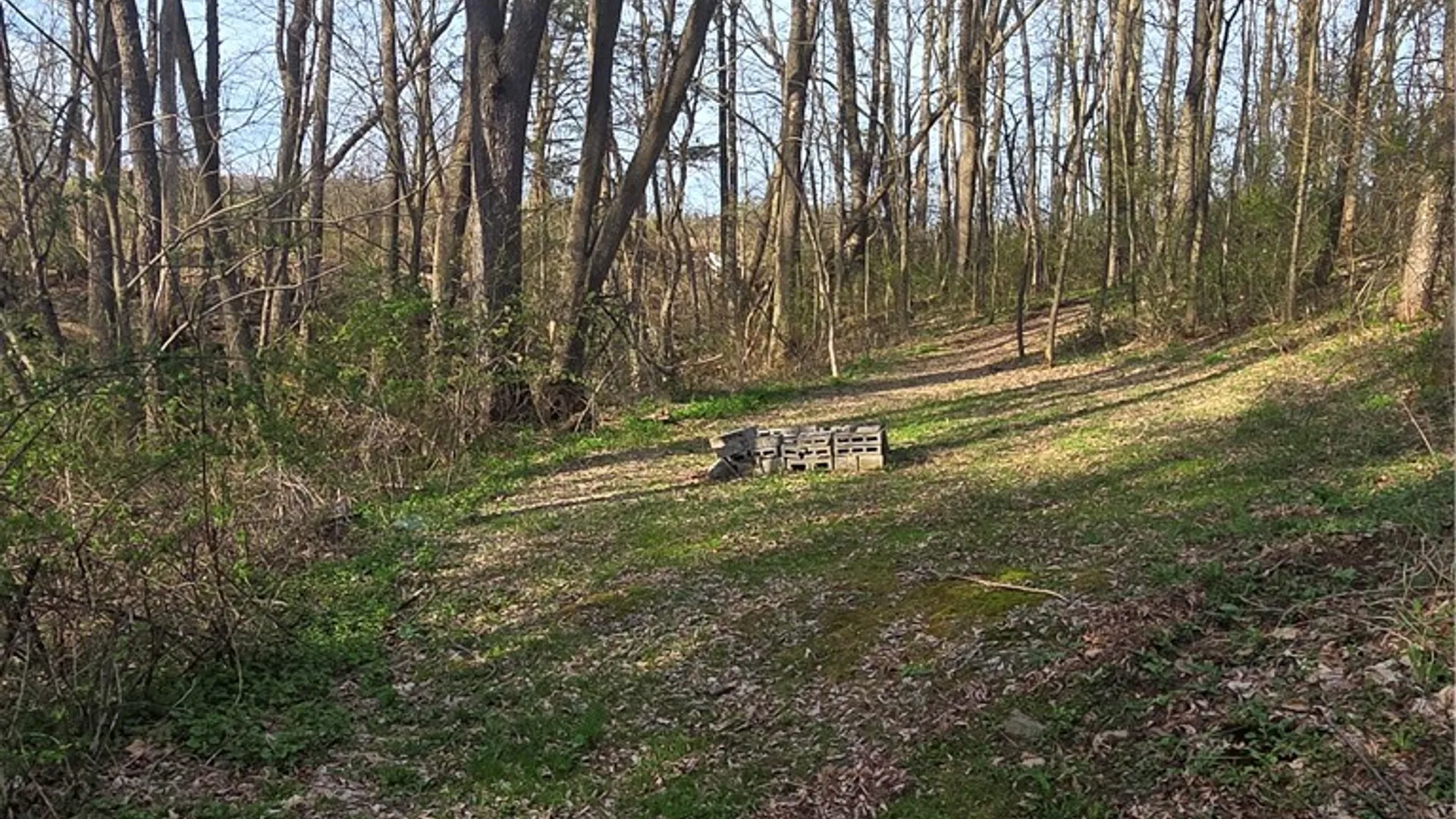 Property at 5343 State Highway 23, Norwich, NY 13815 37