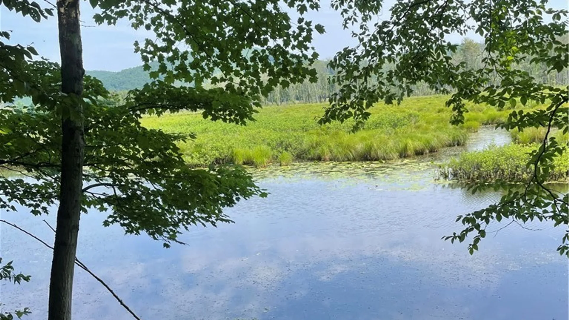 Property at 5140 North Tower Rd Road, Truxton, NY 13158 11